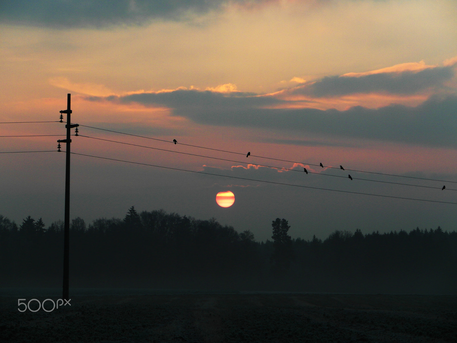Samsung WB750 sample photo. Birds connection photography