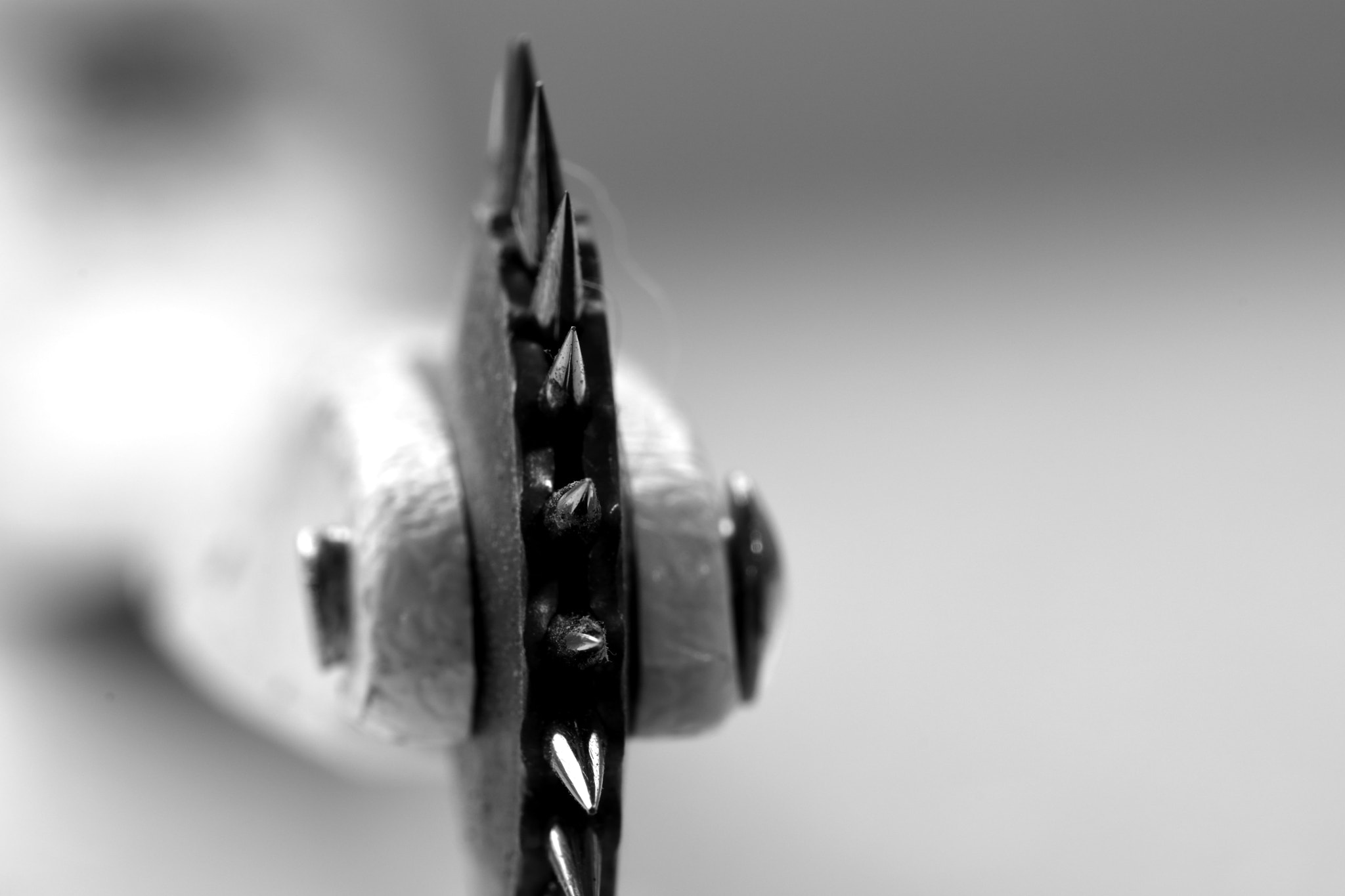 Sigma 150mm F2.8 EX DG Macro HSM sample photo. Pass deg ;) photography