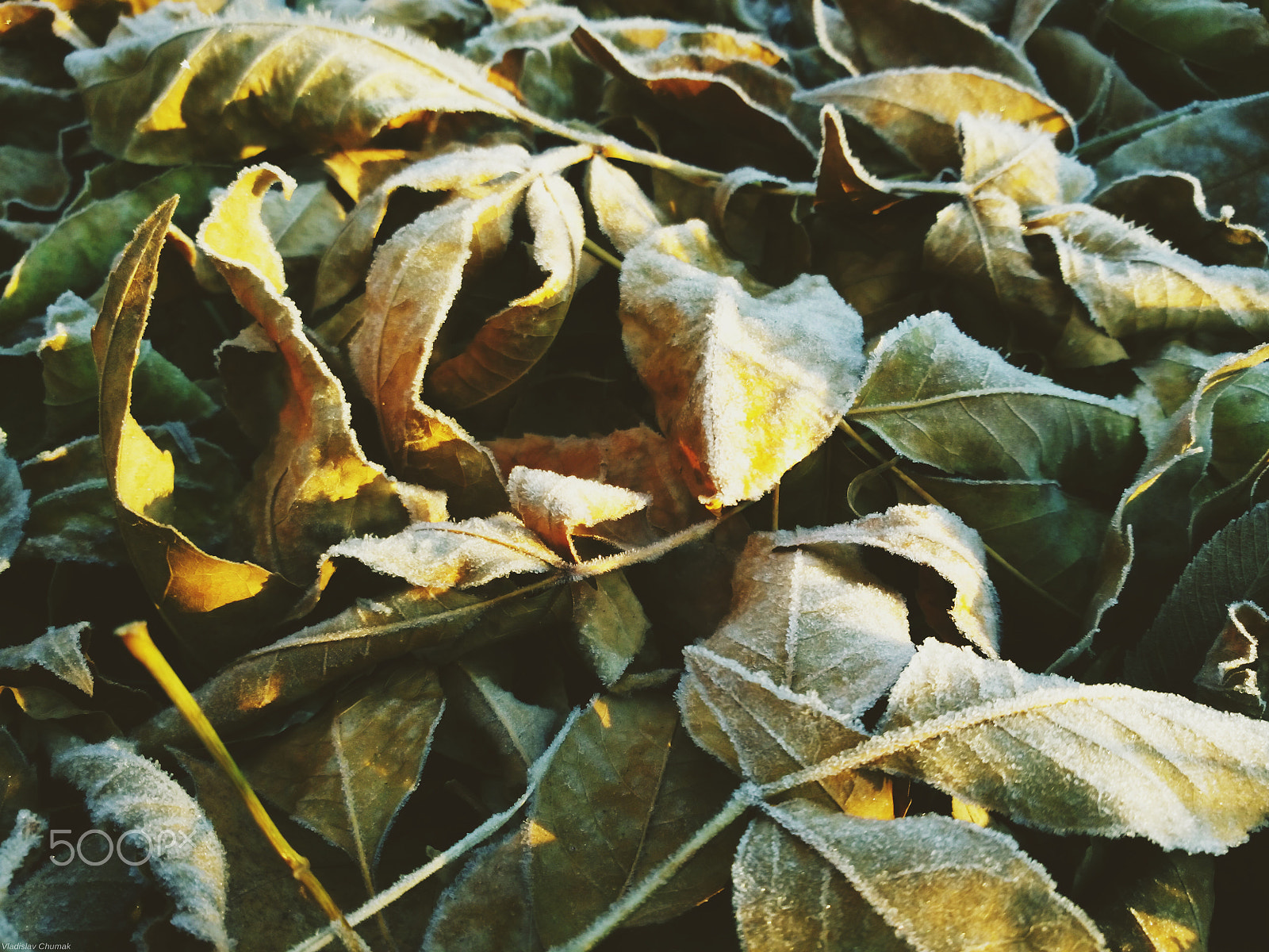Acer Liquid E3 sample photo. Img_20161018_075058.jpg photography
