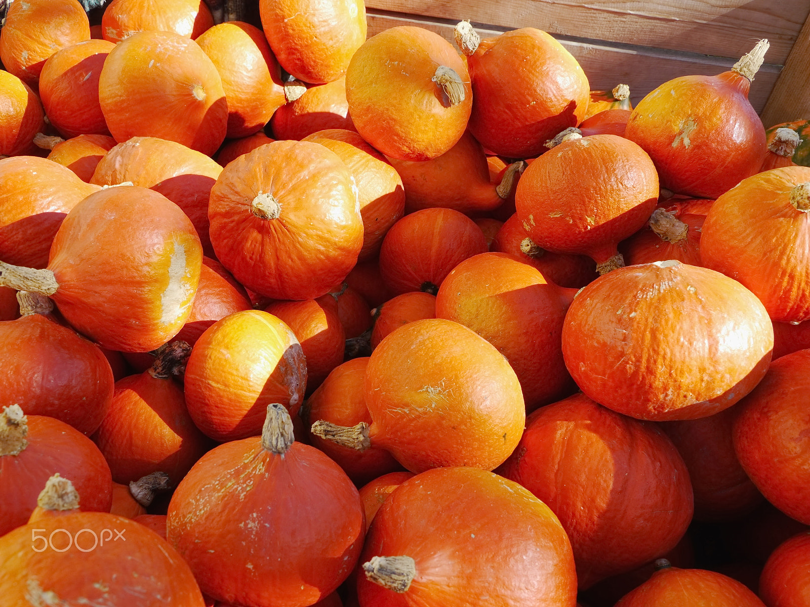Panasonic Lumix DMC-GH2 sample photo. Pumpkin straw photography