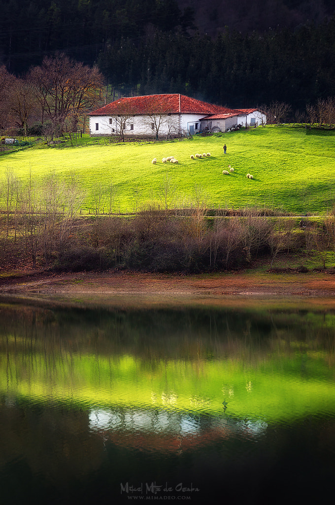 Sony E 18-200mm F3.5-6.3 OSS sample photo. A bucolic life photography