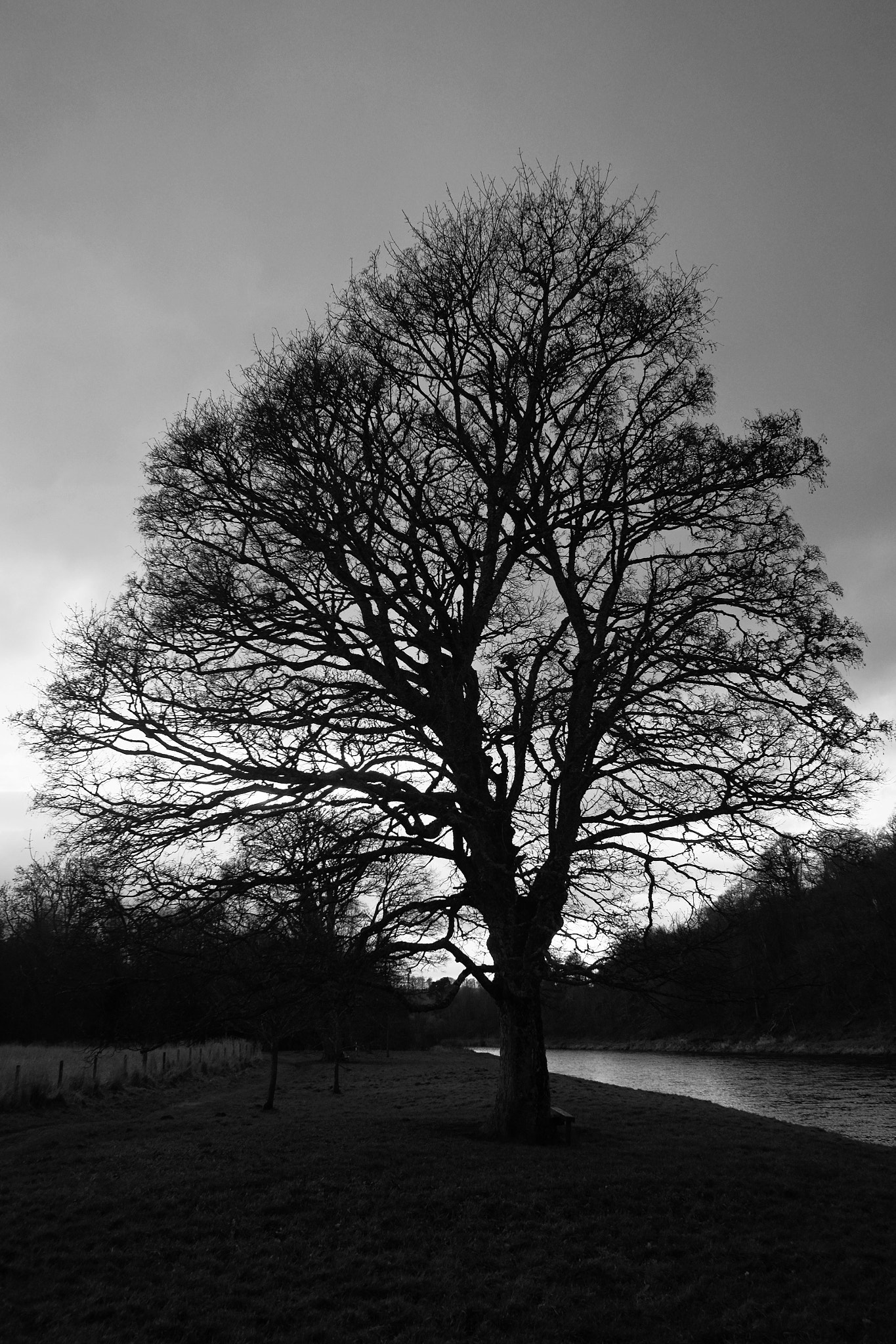 Fujifilm X-E2 + Fujifilm XF 18mm F2 R sample photo. River spey, speyside scotland photography