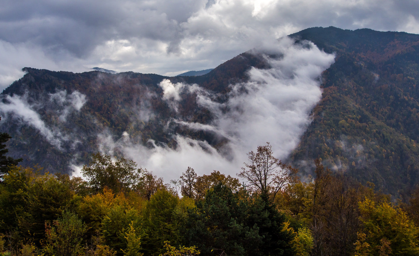 Olympus OM-D E-M5 + OLYMPUS M.9-18mm F4.0-5.6 sample photo. Bartın kure mountains, turkey photography