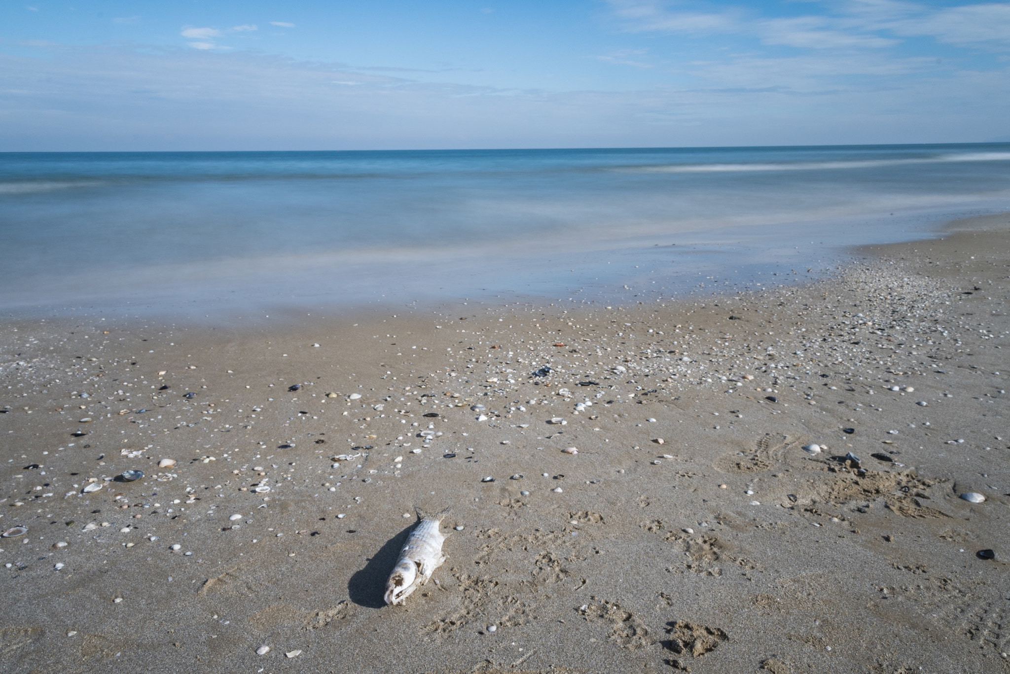 Sigma 17-50mm F2.8 EX DC OS HSM sample photo. Rimini, italy - paradise contrasted with death photography