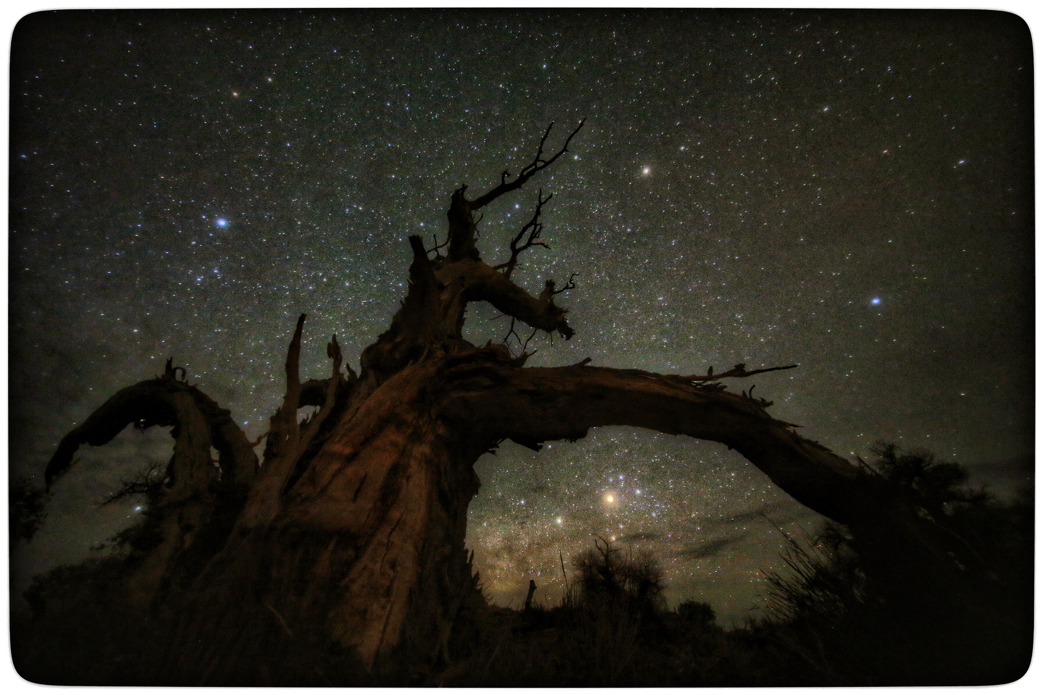 Canon EF 11-24mm F4L USM sample photo. Welcome to china !   photography