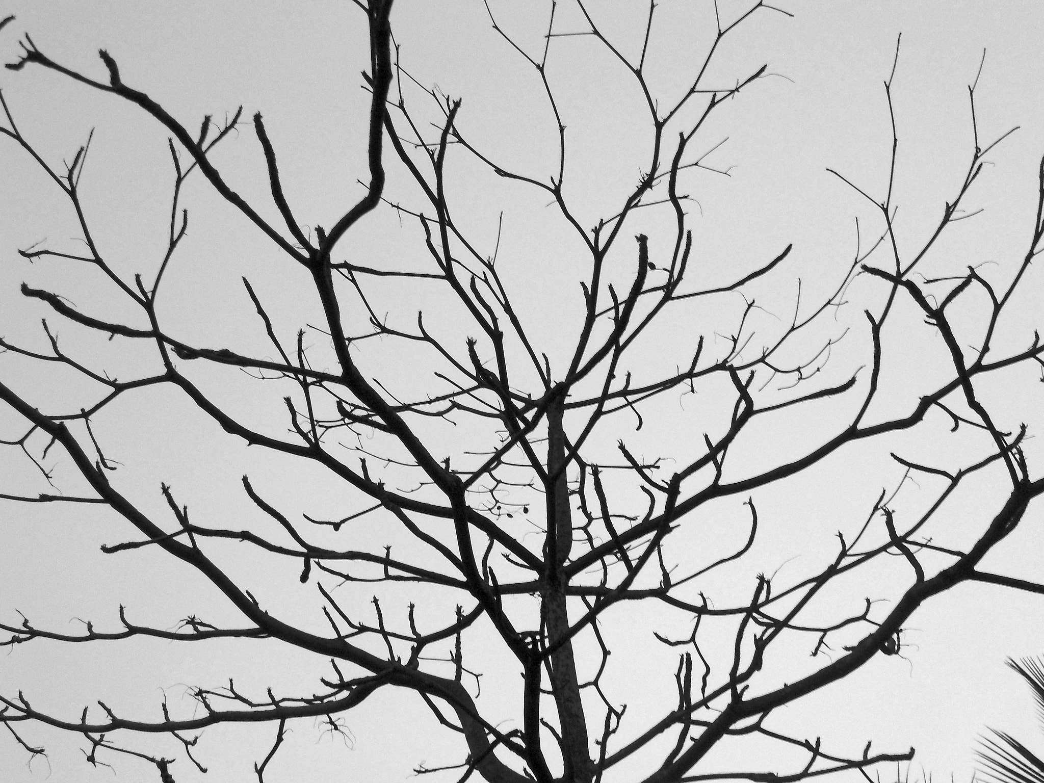 Sony DSC-W670 sample photo. Lifeless nature photography