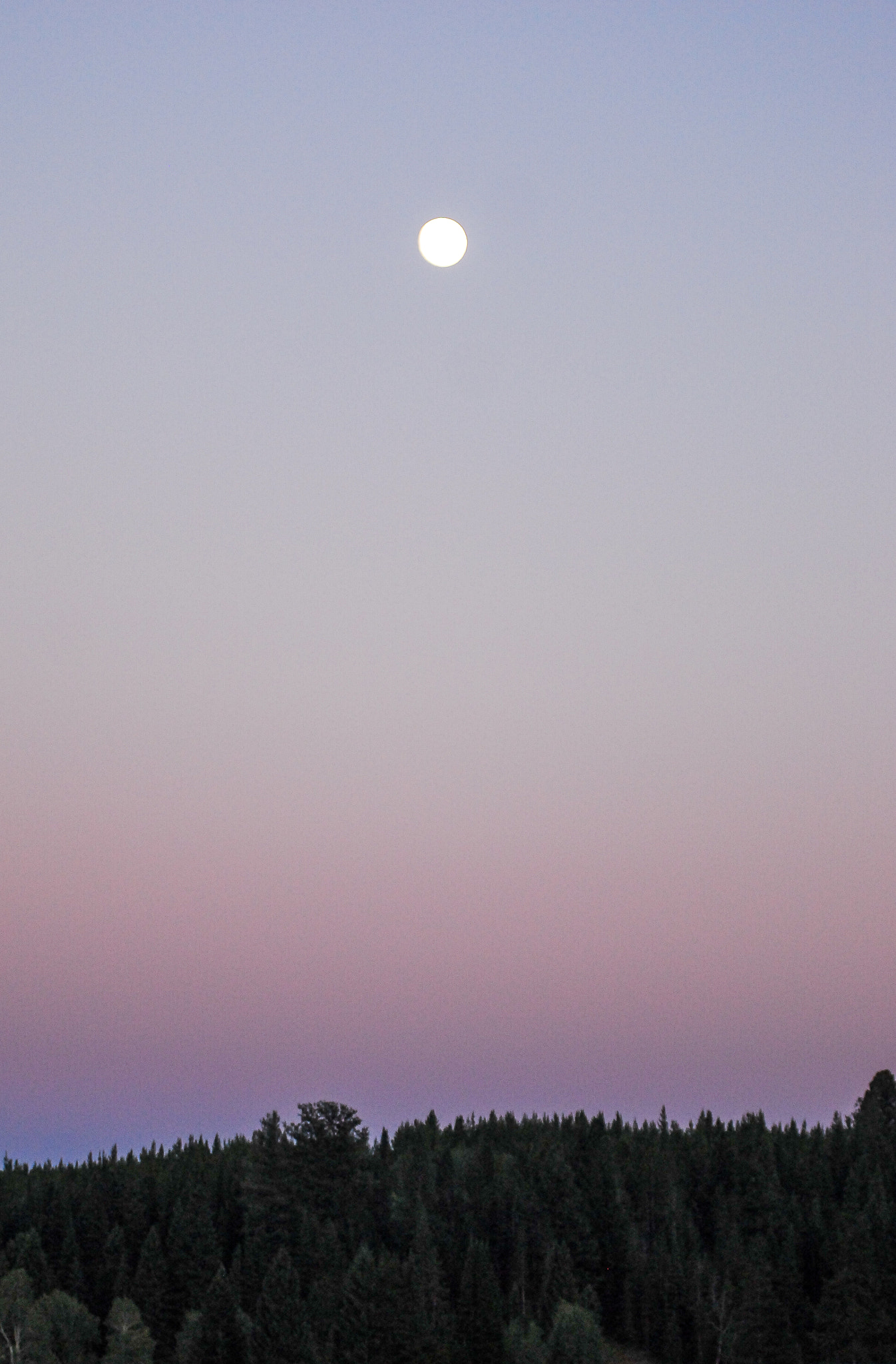 AF Zoom-Nikkor 80-200mm f/2.8 ED sample photo. Yellowstone moon photography