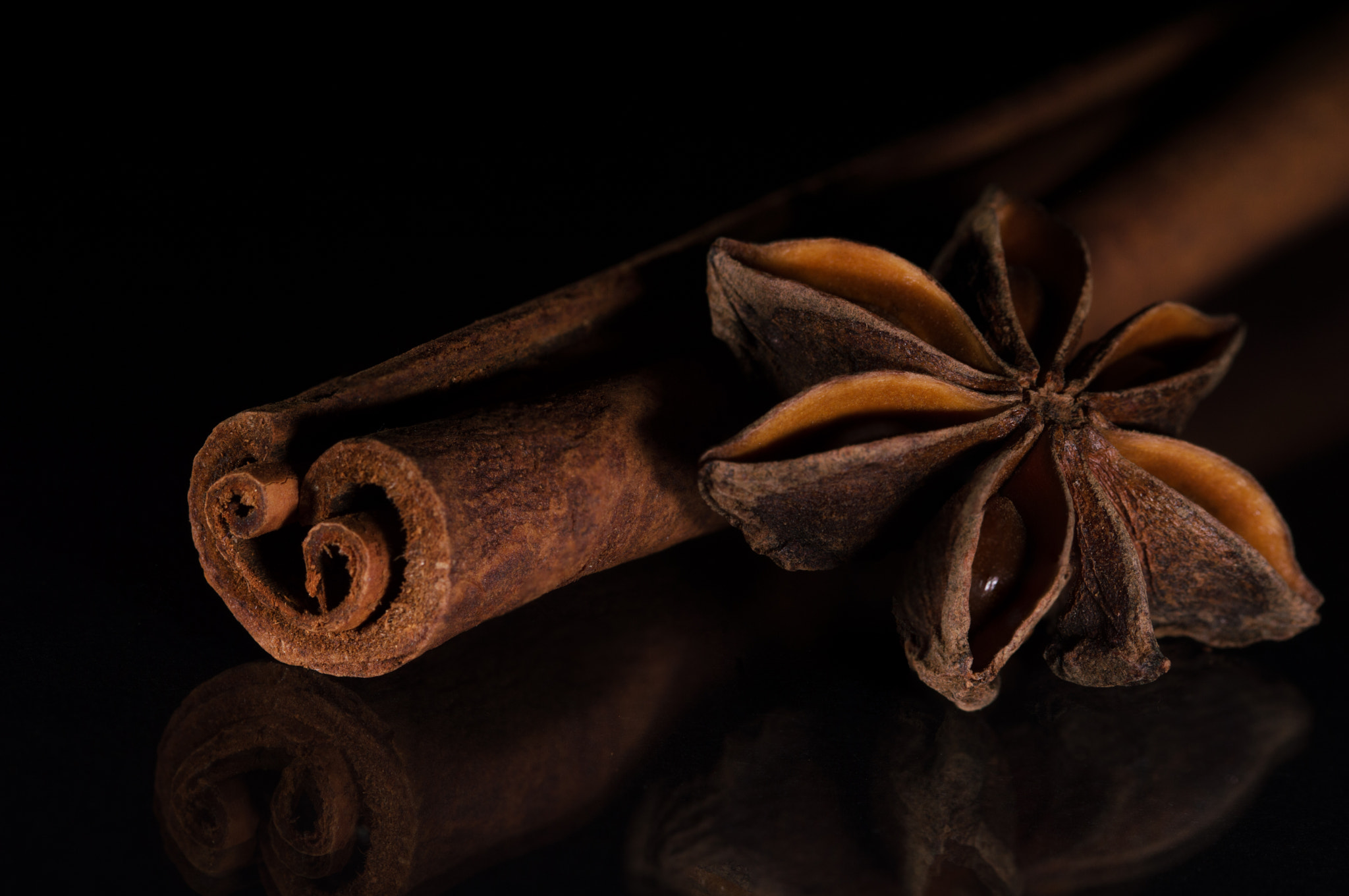 Sigma 105mm F2.8 EX DG OS HSM sample photo. Winter is coming photography