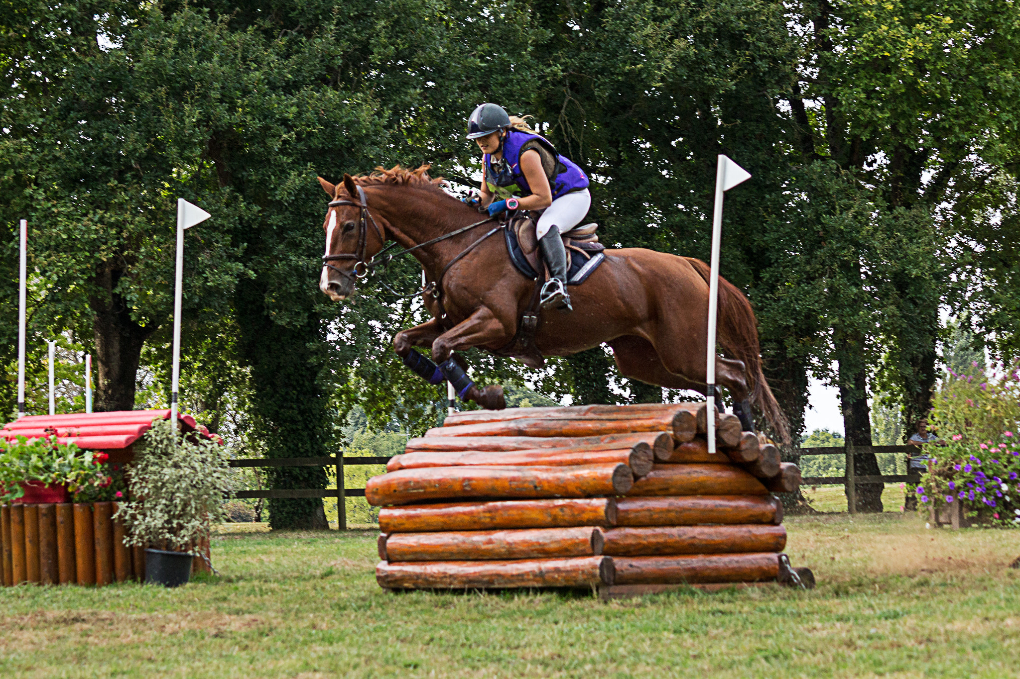 Canon EF-S 55-250mm F4-5.6 IS sample photo. Concours hippique - châteaubriant photography