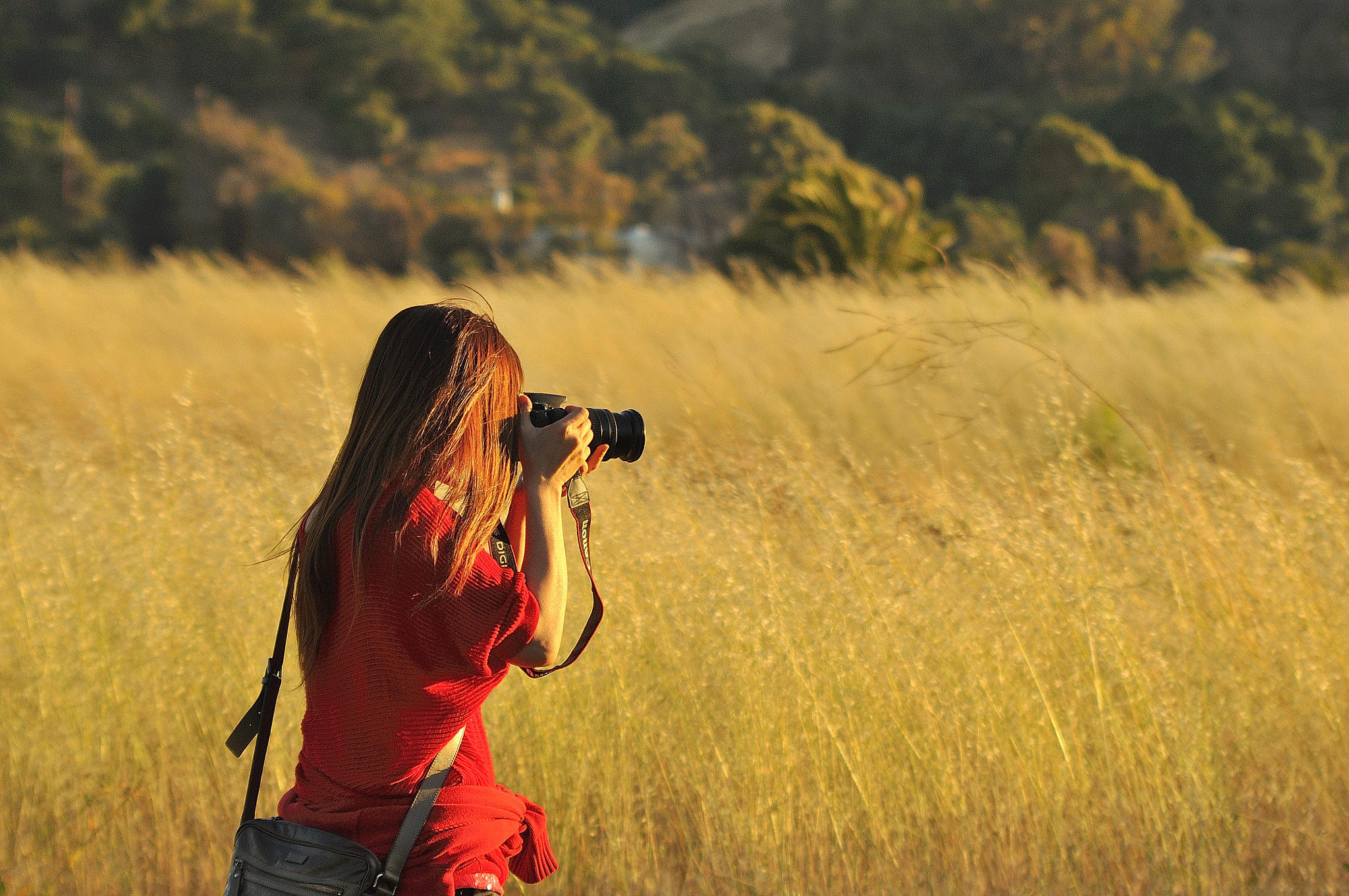AF Zoom-Nikkor 35-135mm f/3.5-4.5 N sample photo. Photography v.s. photo photography