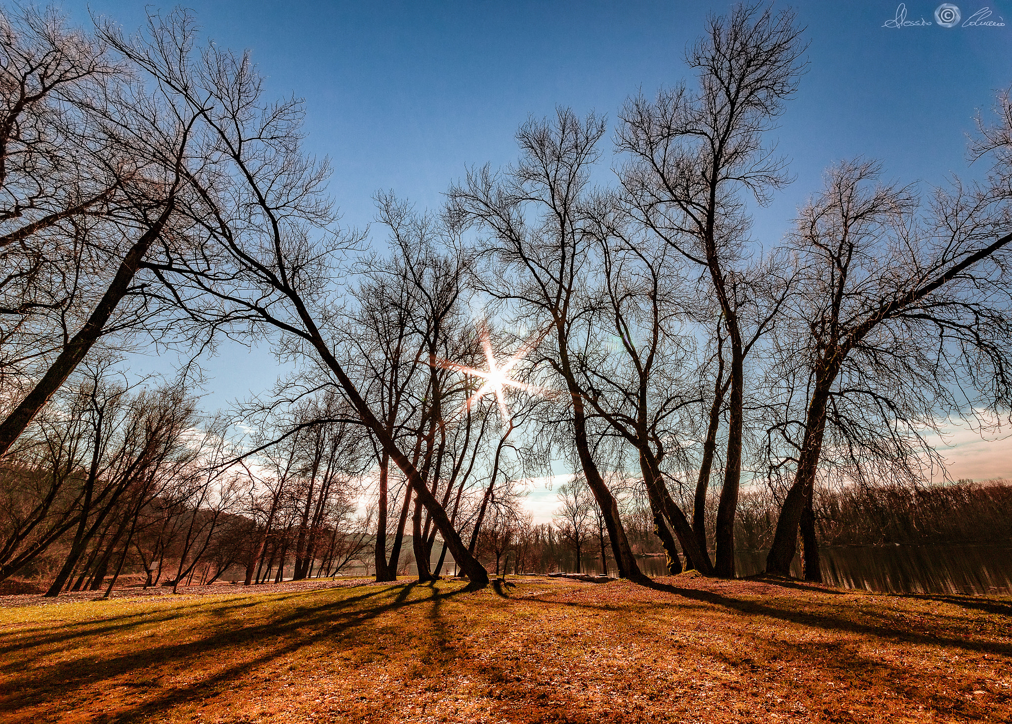 Canon EOS 6D + Sigma 12-24mm F4.5-5.6 II DG HSM sample photo. Autumn's star photography