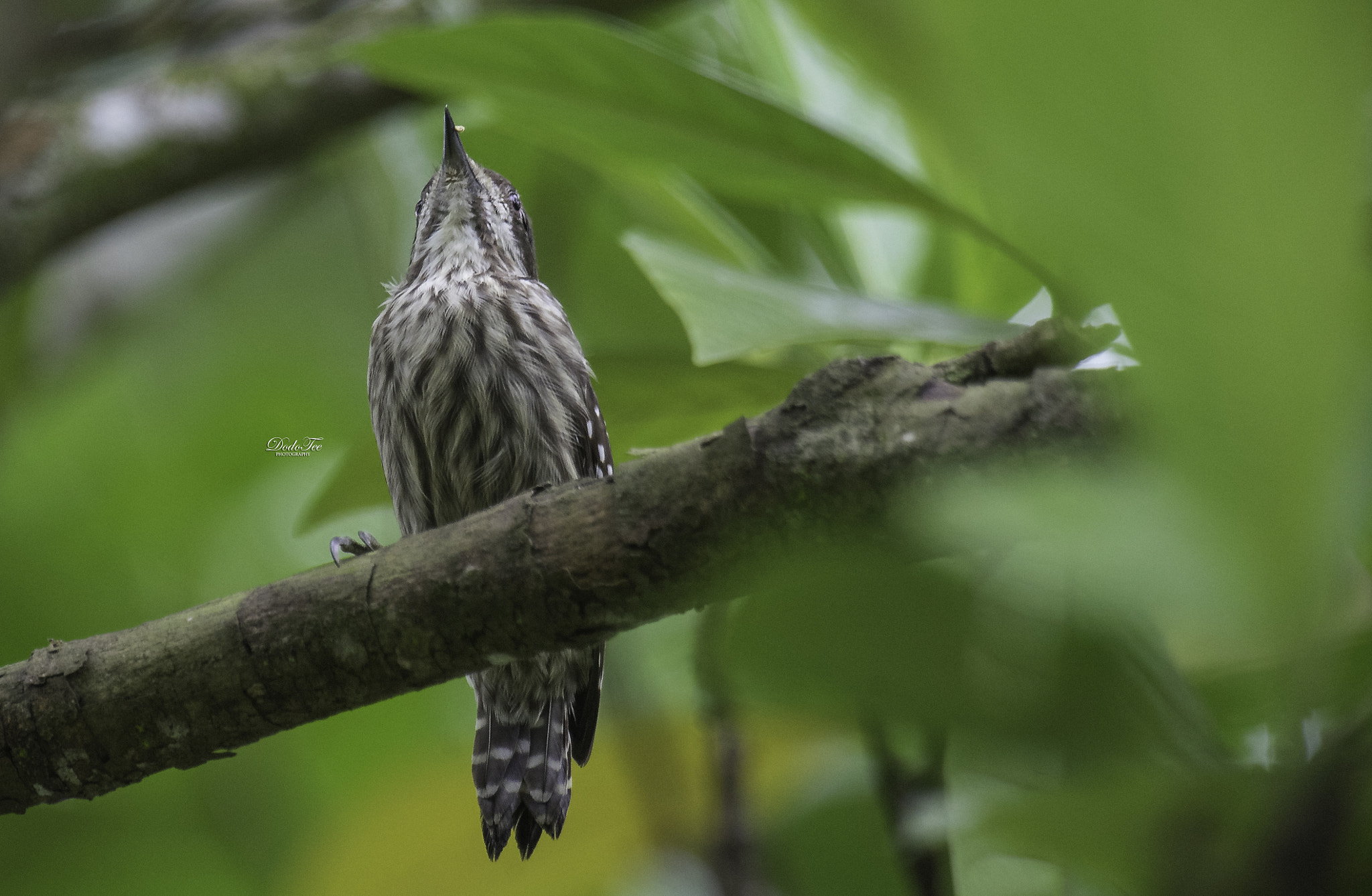 Sony 70-400mm F4-5.6 G SSM II sample photo