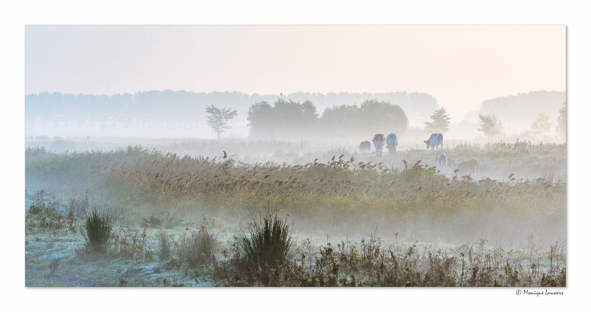 Nikon D600 sample photo. Beautiful start of the day photography