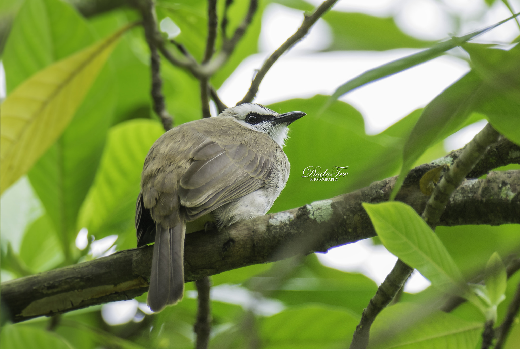 Sony 70-400mm F4-5.6 G SSM II sample photo