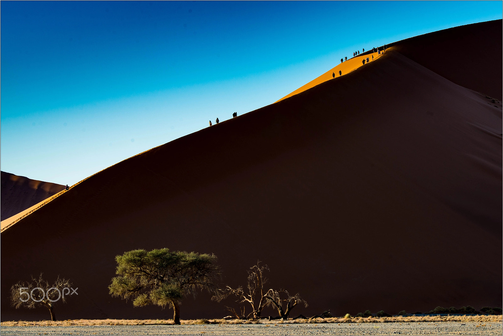 Nikon D800 sample photo. Desert photography