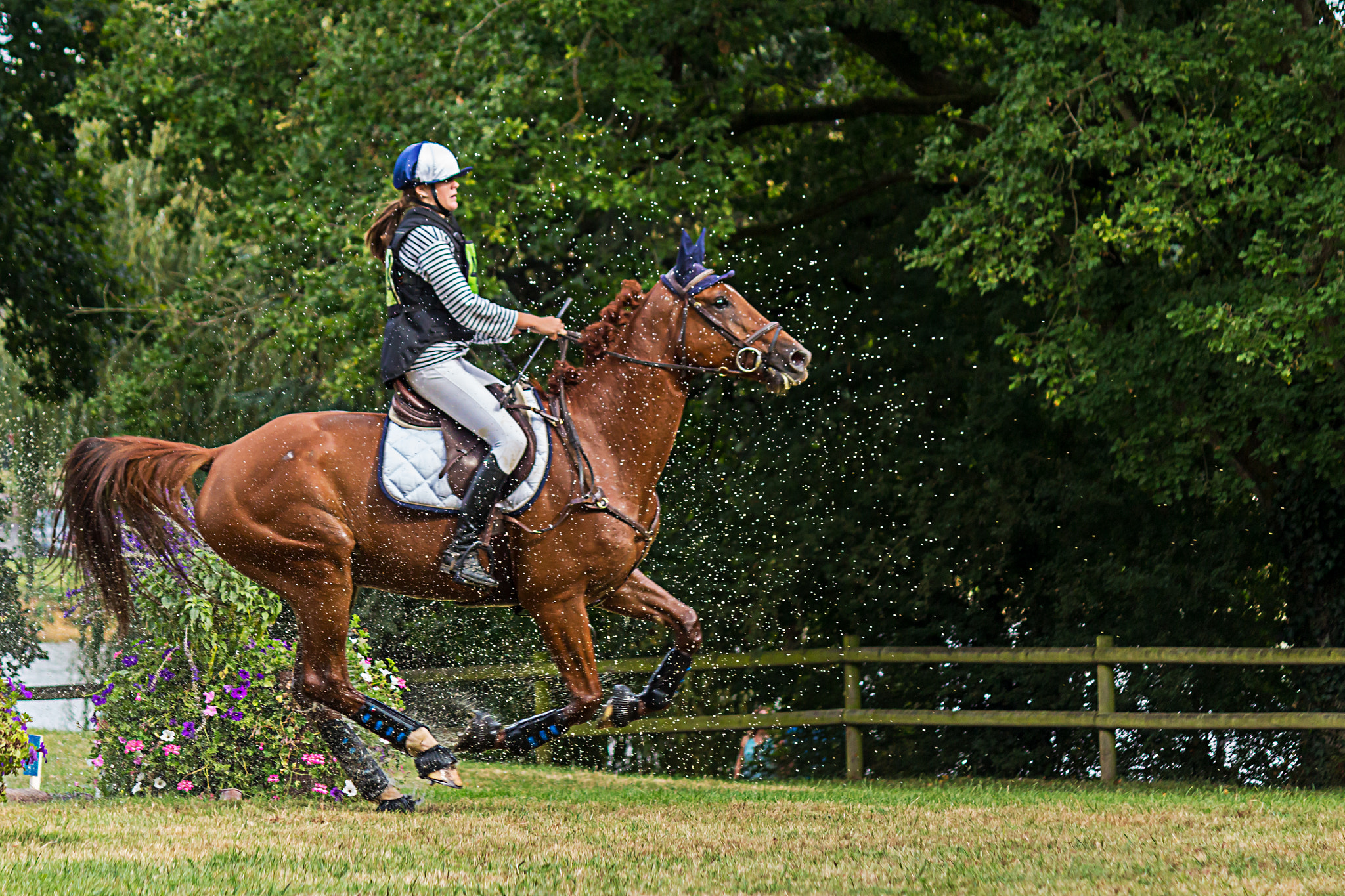 Canon EF-S 55-250mm F4-5.6 IS sample photo. Concours hippique - châteaubriant photography