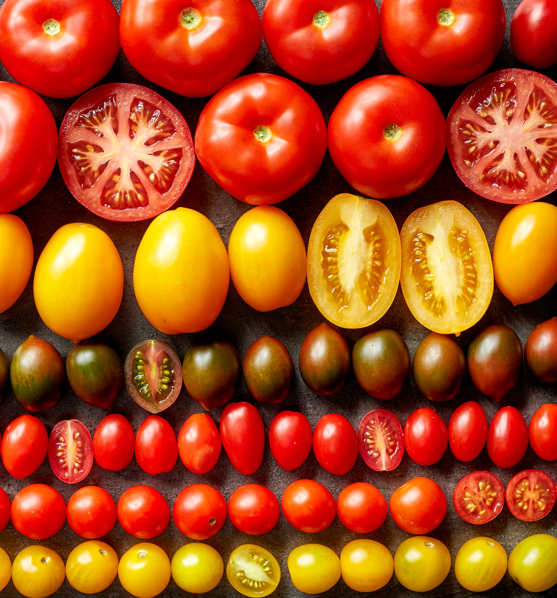 Sigma 50mm F1.4 DG HSM Art sample photo. Various colorful tomatoes photography