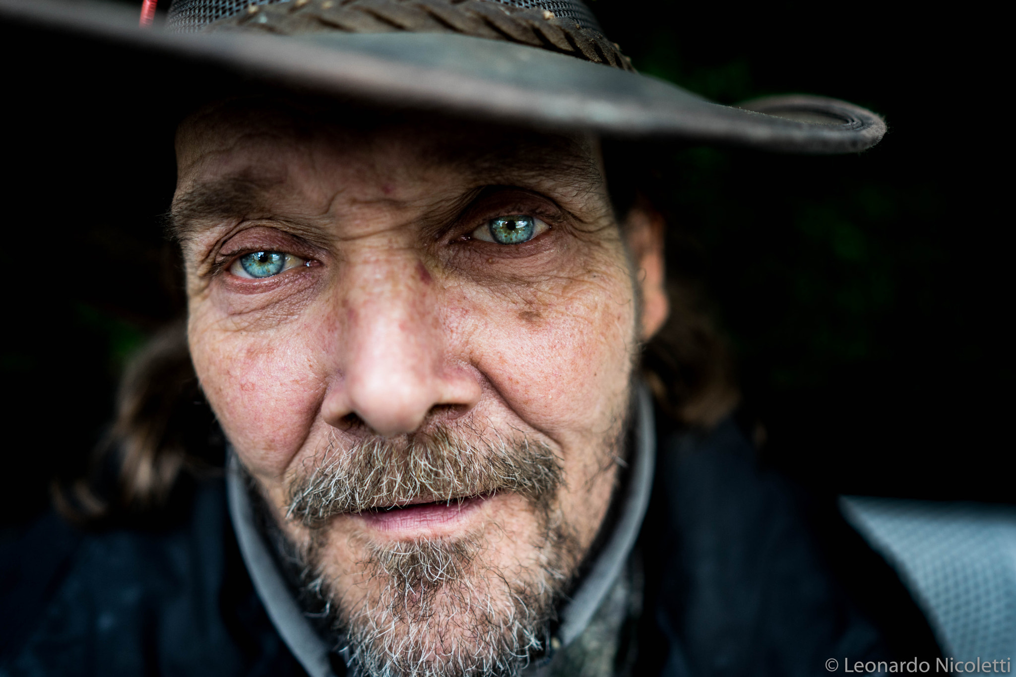 Sony a7 II + ZEISS Batis 25mm F2 sample photo. Blue eyed bruce photography