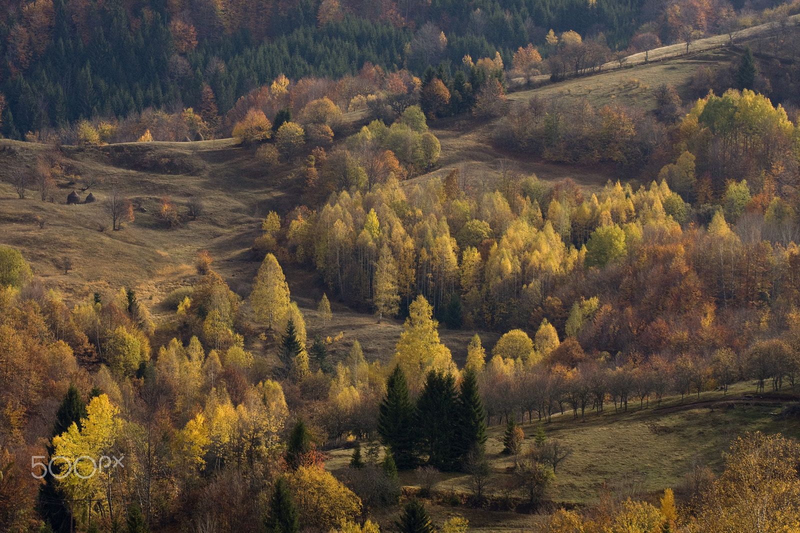 Canon EOS 40D + Canon EF 100mm F2.8L Macro IS USM sample photo. Autumn landscape photography