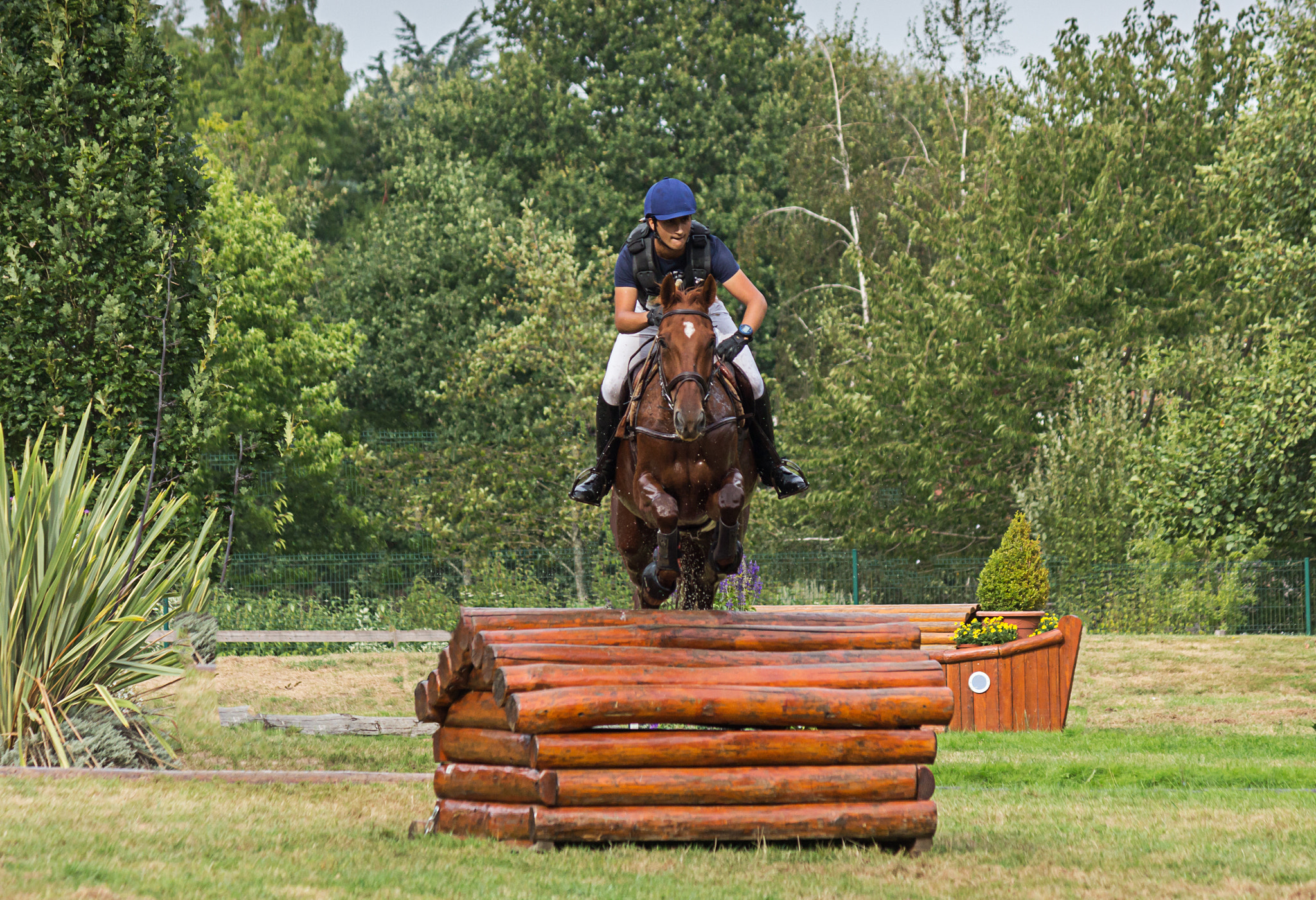 Canon EF-S 55-250mm F4-5.6 IS sample photo. Concours hippique - châteaubriant photography