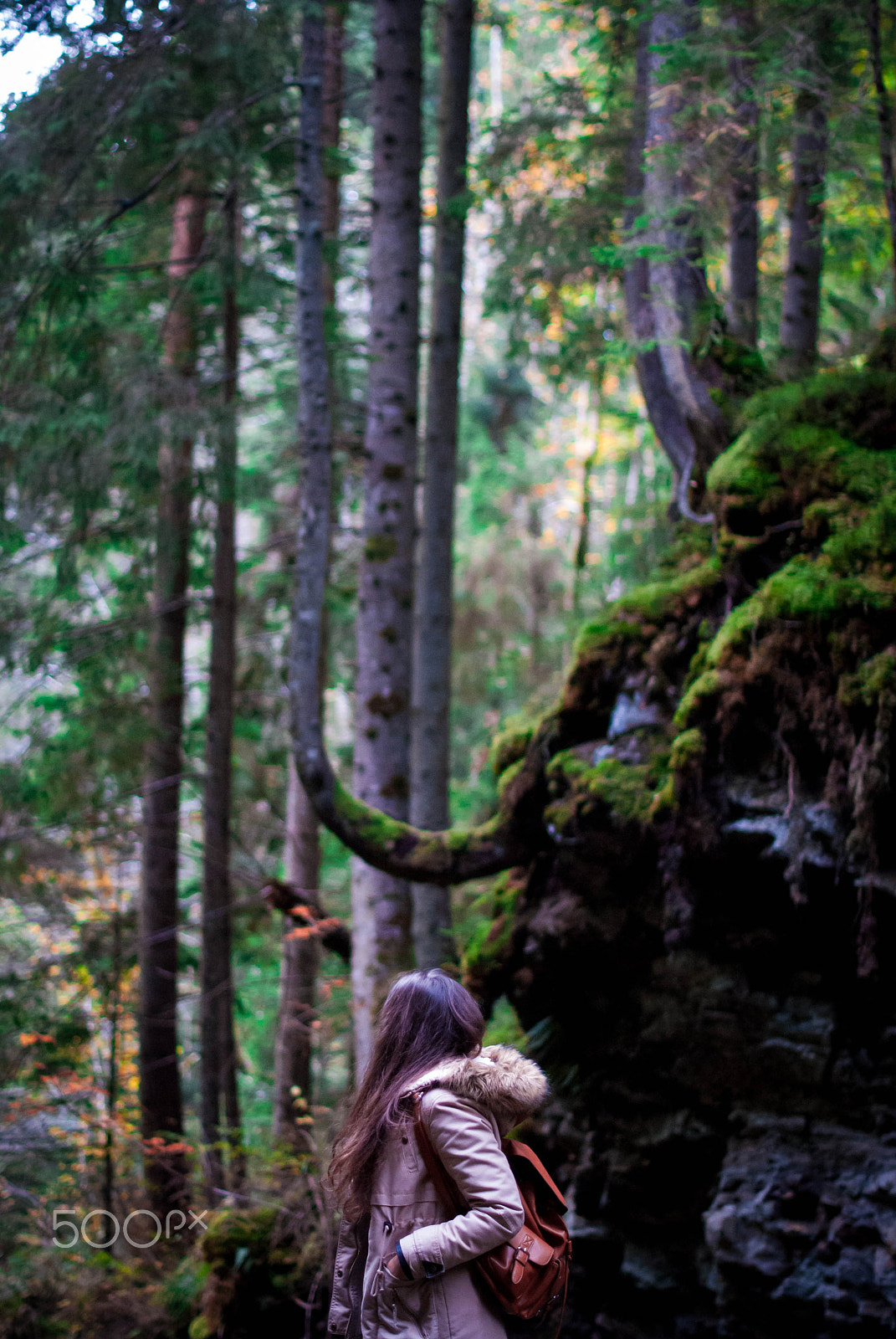 Nikon D3000 sample photo. The girl in the woods photography