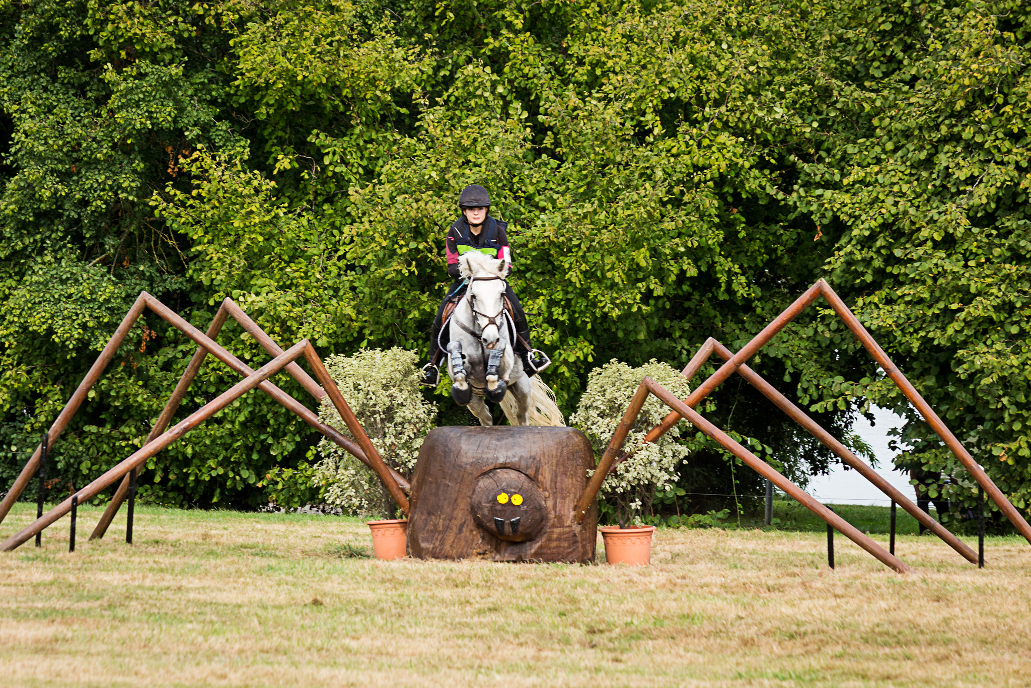 Canon EF-S 55-250mm F4-5.6 IS sample photo. Concours hippique - châteaubriant photography