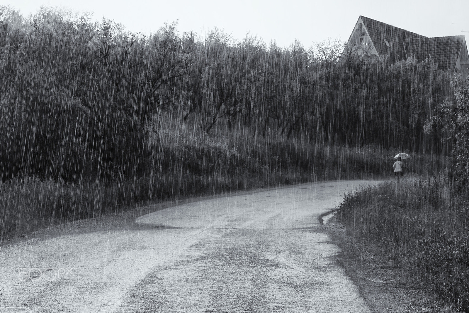 AF Zoom-Nikkor 28-80mm f/3.3-5.6G sample photo. Under heavy rain photography