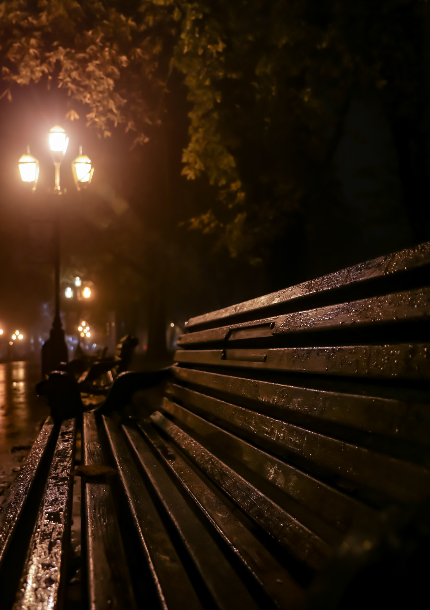 Canon EOS 760D (EOS Rebel T6s / EOS 8000D) sample photo. Misty morning photography