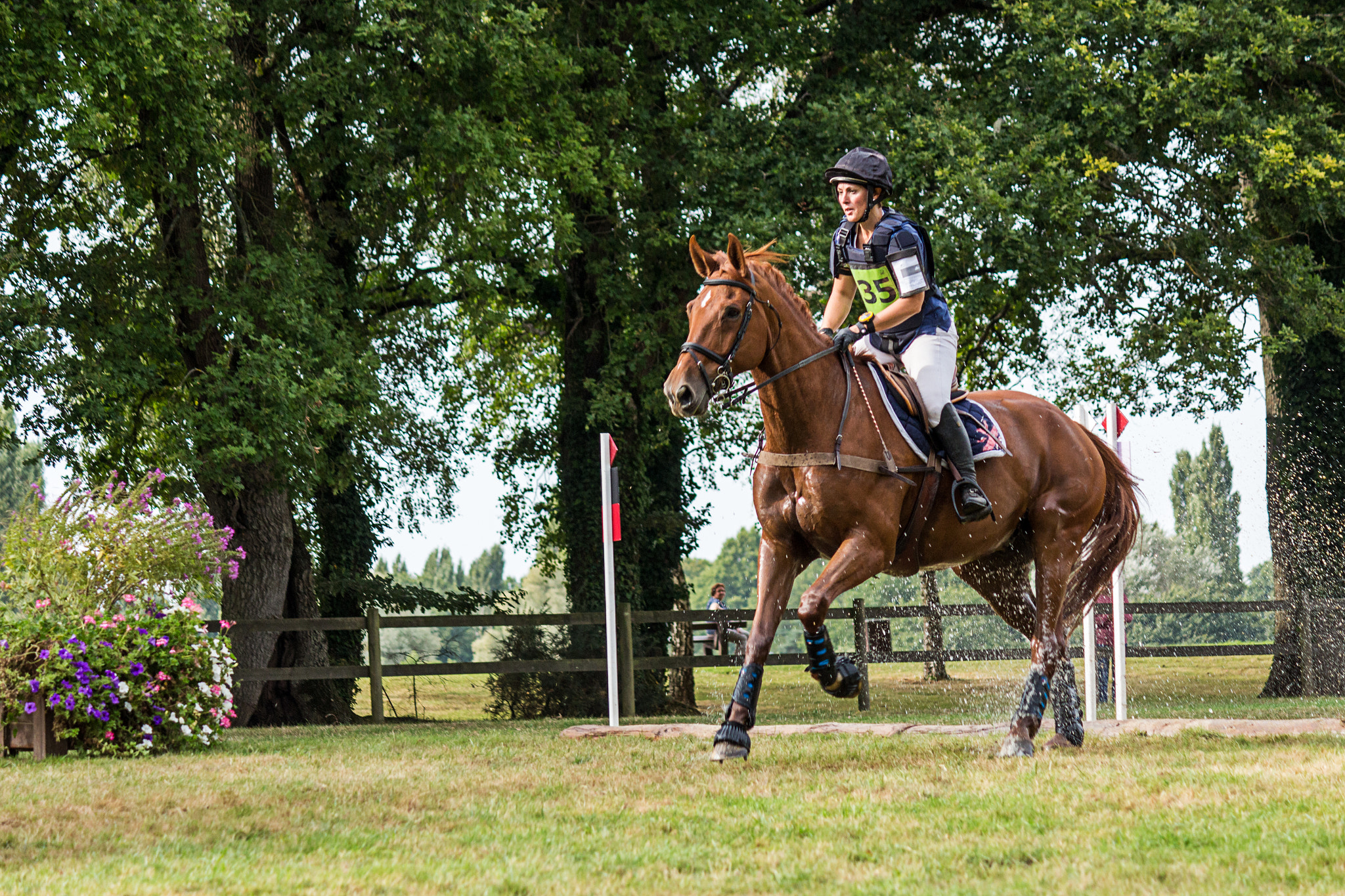Canon EF-S 55-250mm F4-5.6 IS sample photo. Concours hippique - châteaubriant photography