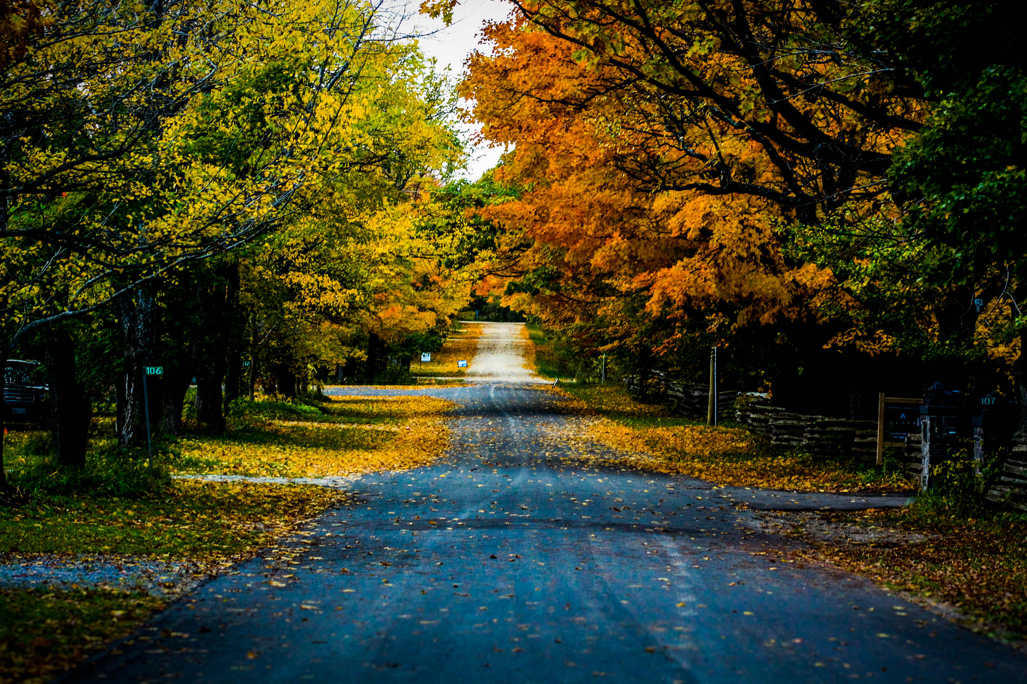 Canon EF 75-300mm f/4-5.6 USM sample photo. Autumn road photography