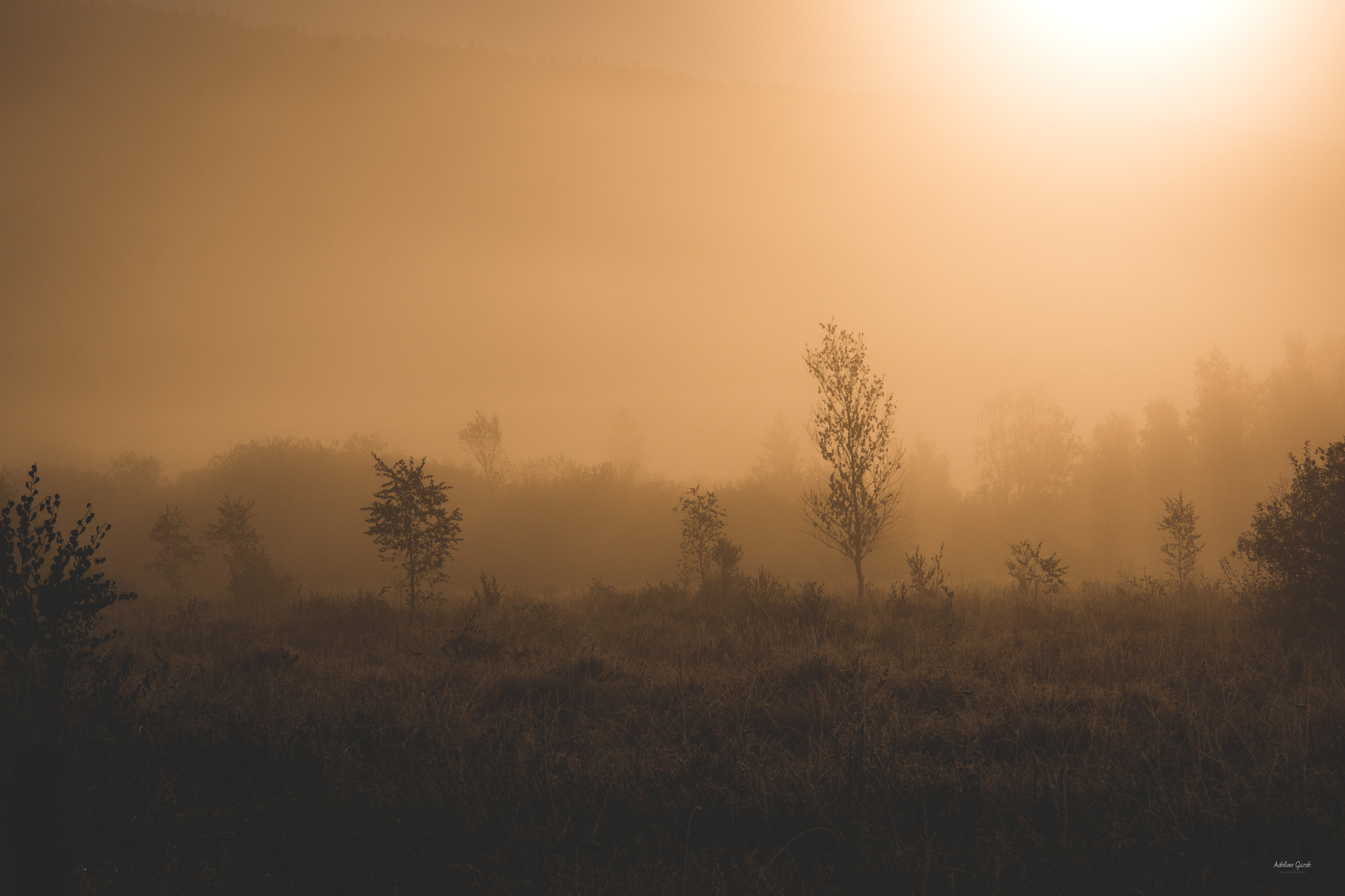 Nikon AF-S Micro-Nikkor 60mm F2.8G ED sample photo. Brume photography
