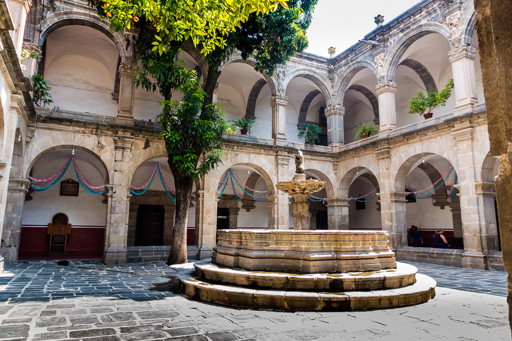 Sony SLT-A65 (SLT-A65V) sample photo. Ex convento de san francisco. photography