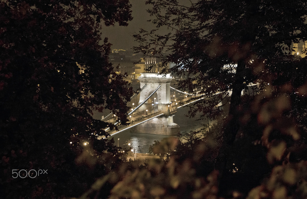 Canon EF 16-35mm F2.8L II USM sample photo. Chain bridge photography