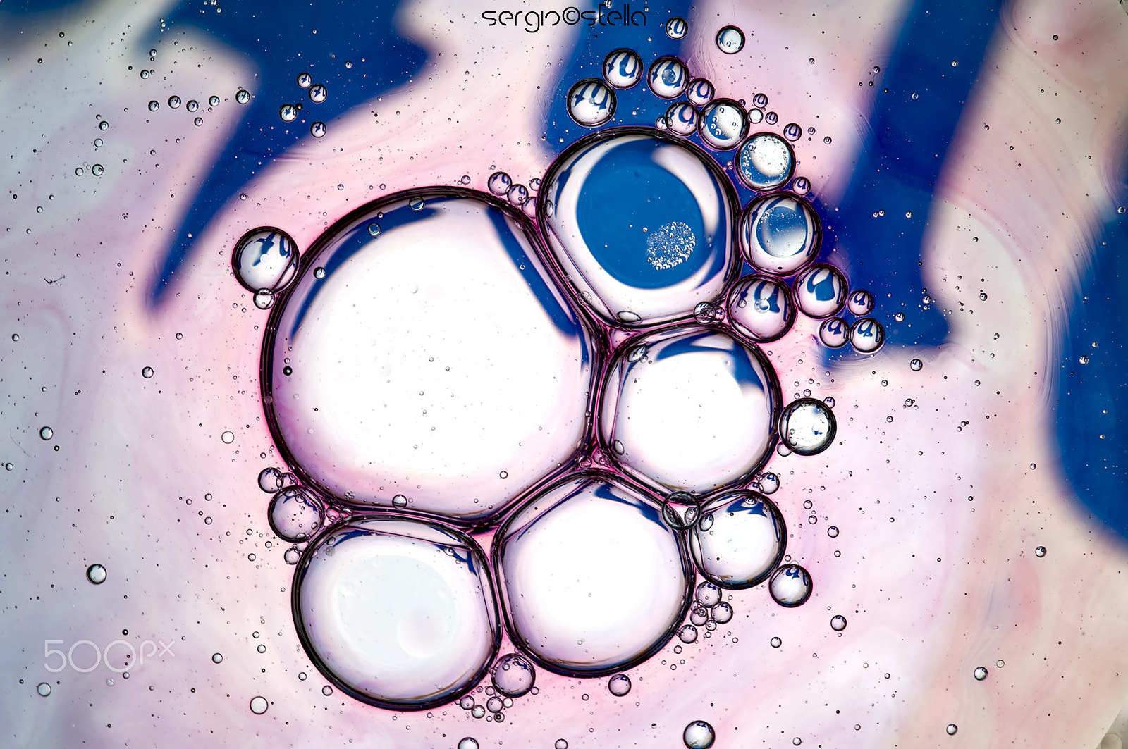 Sigma 150mm F2.8 EX DG Macro HSM sample photo. Pink&blue__ photography