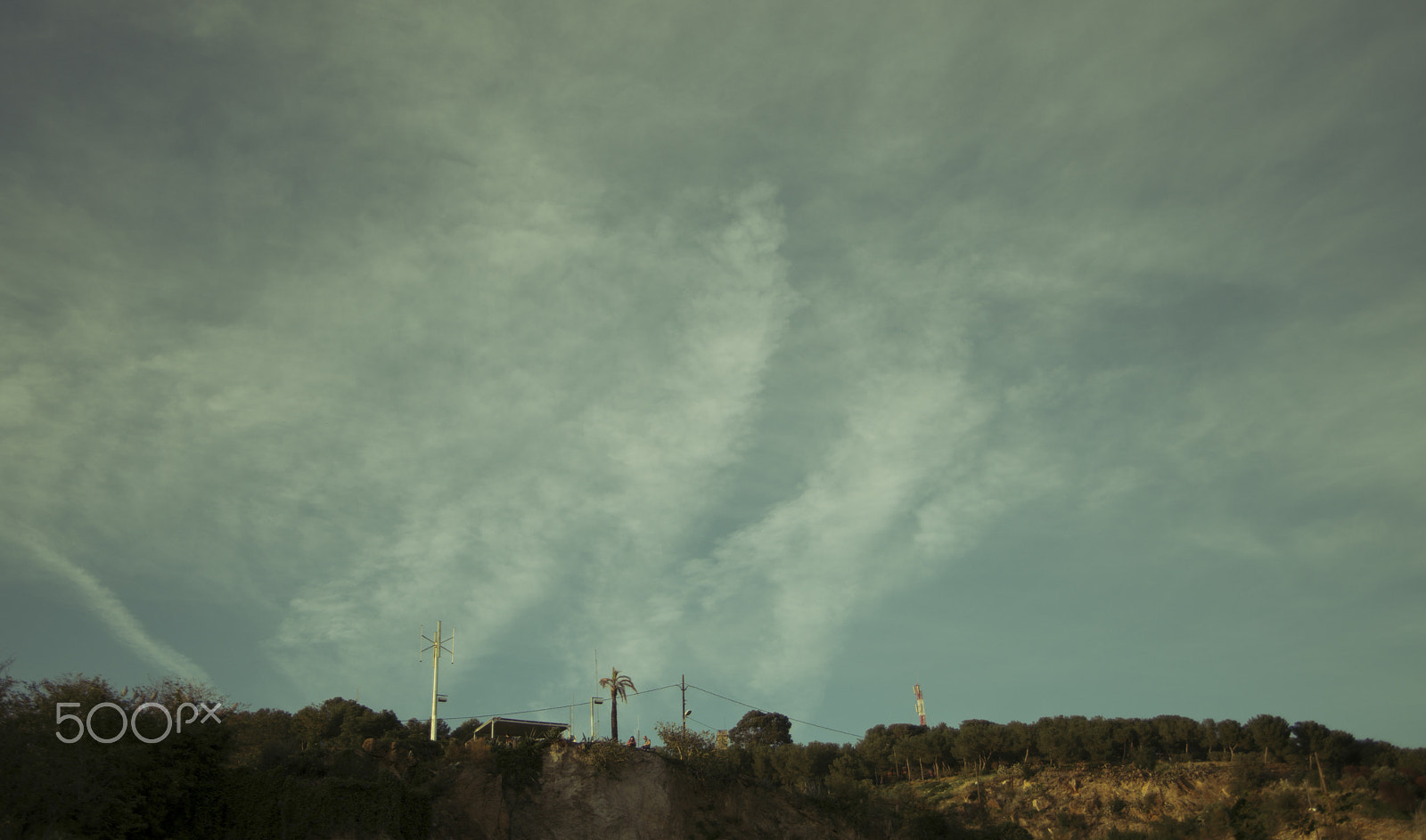 Nikon D800 sample photo. Look up! photography