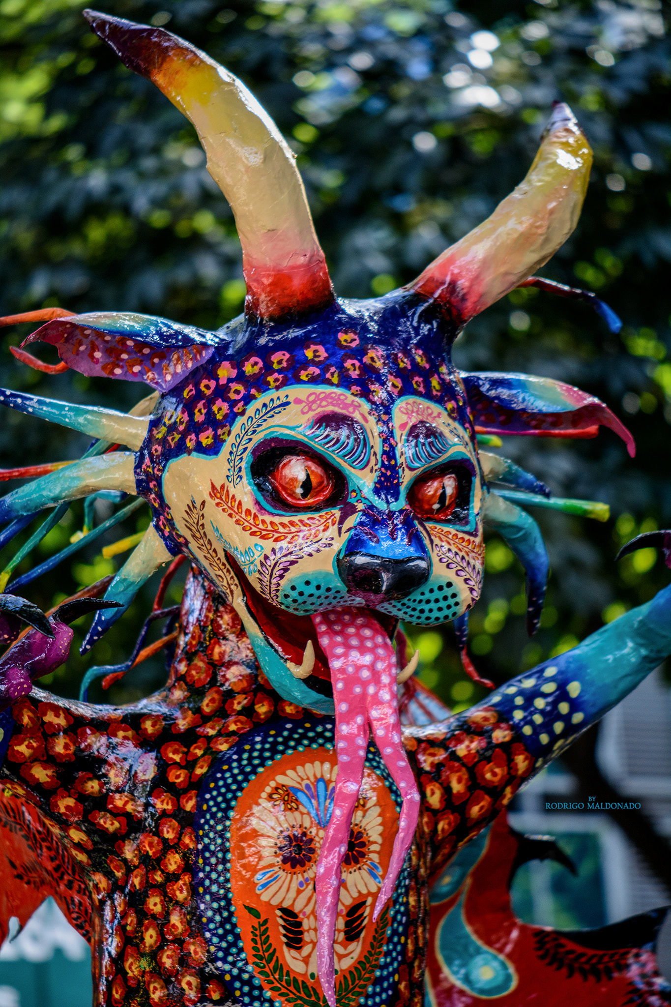 Nikon AF-S DX Micro-Nikkor 85mm F3.5G ED VR sample photo. Demonio jaguar (tradición mexicana alebrijes). photography