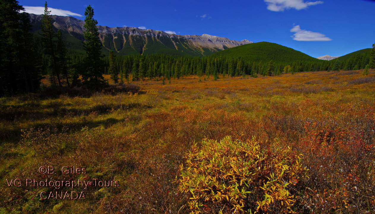 Pentax K-3 + Sigma AF 10-20mm F4-5.6 EX DC sample photo. Front range color photography