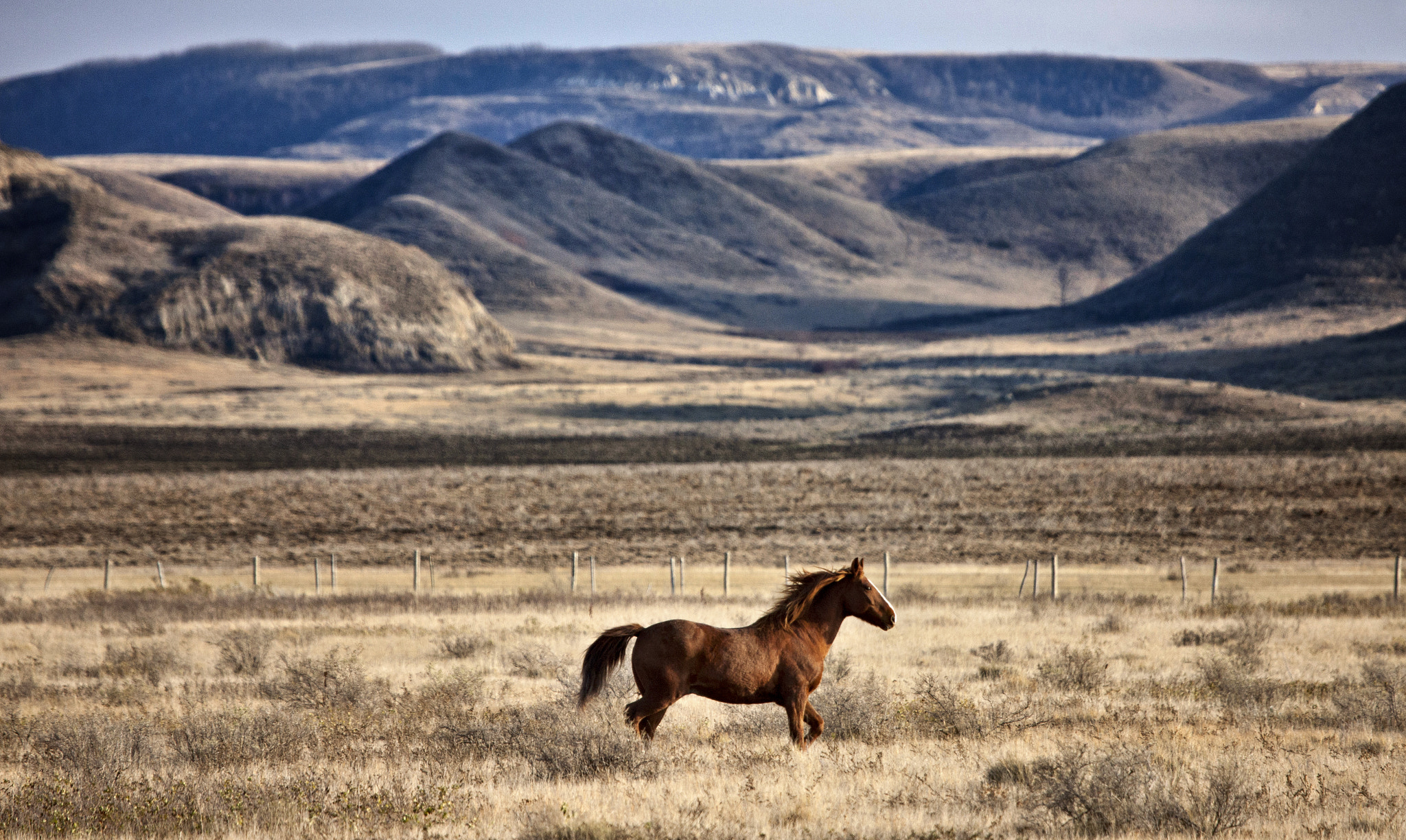 Canon EOS-1Ds Mark III sample photo. Ranchlands saskatchewan photography