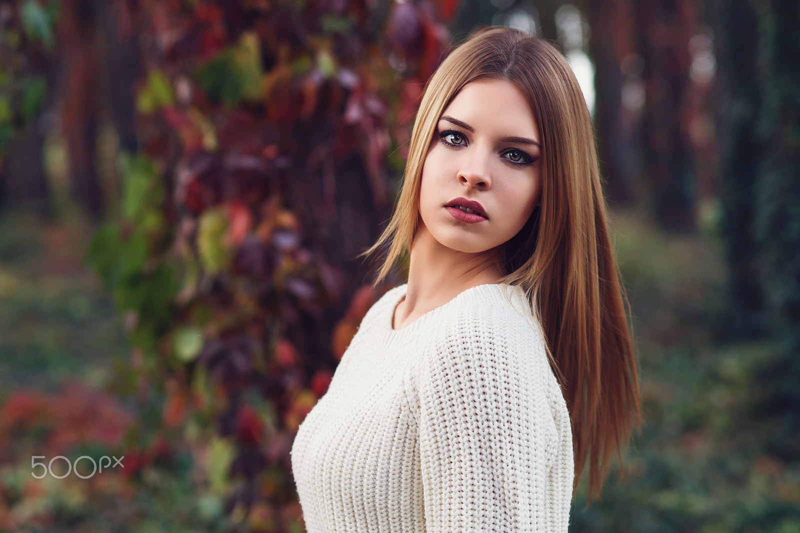 Canon EF 100mm F2.0 USM sample photo. Autumn photography