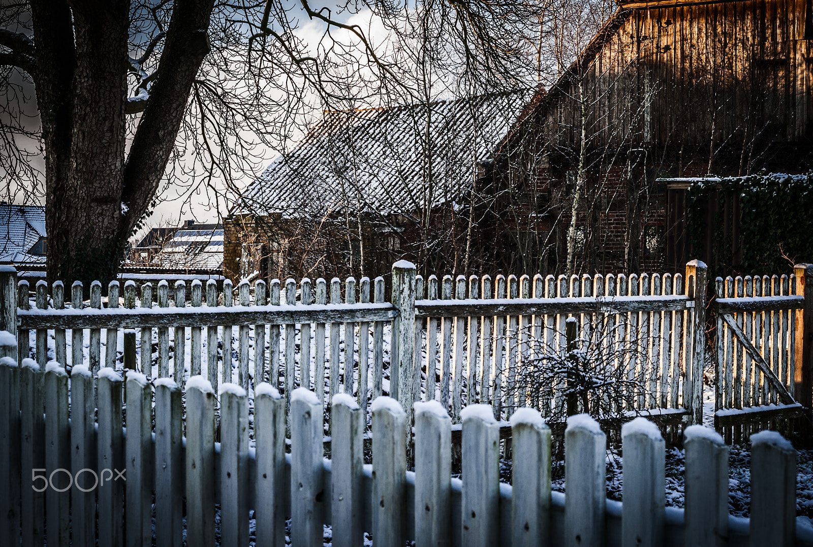 Summicron-M 50mm f/2 (IV, V) sample photo. Winter mood photography