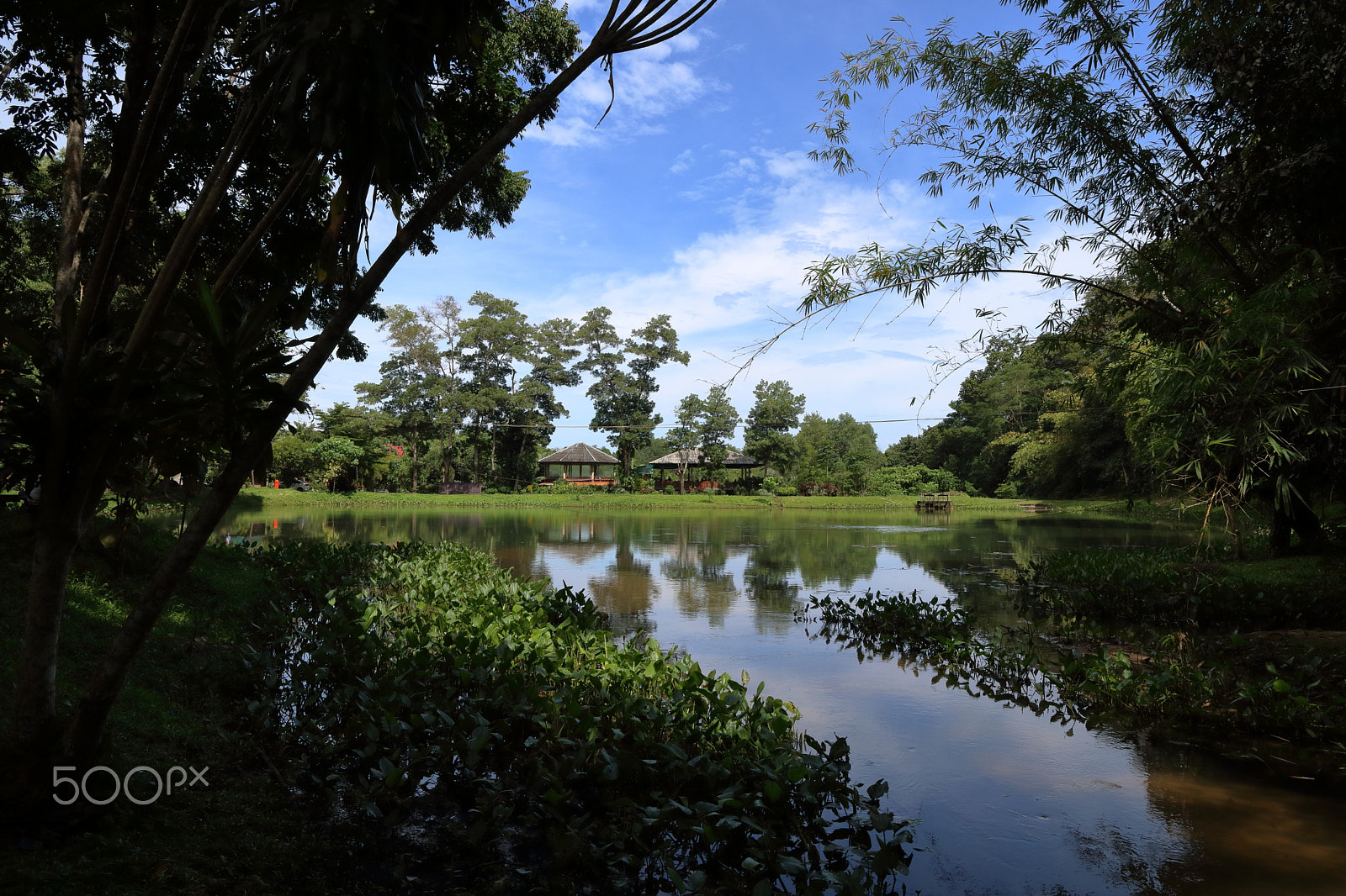 Canon EOS 750D (EOS Rebel T6i / EOS Kiss X8i) sample photo. A lake in phuket photography