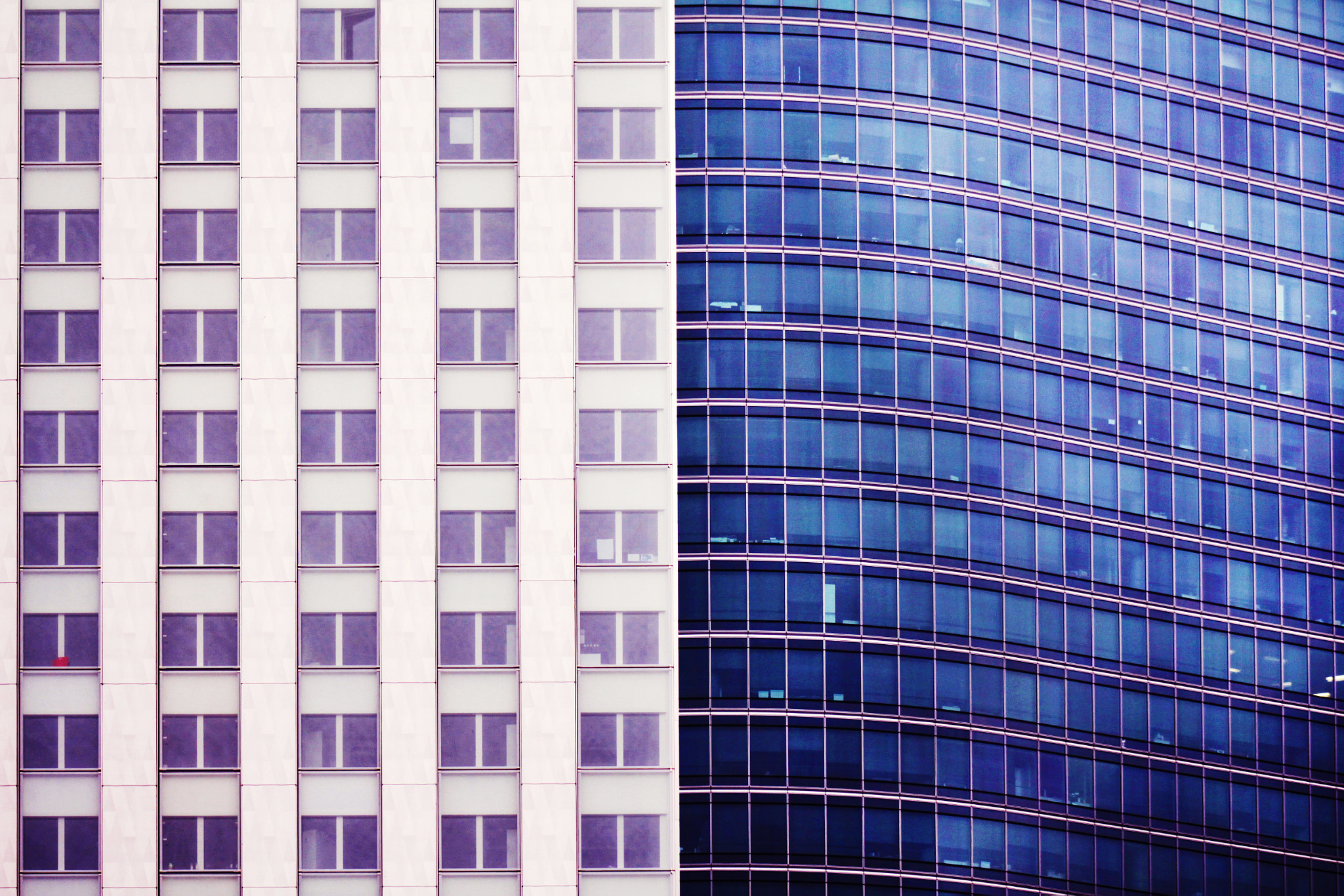 Canon EF 75-300mm f/4-5.6 USM sample photo. Differences photography
