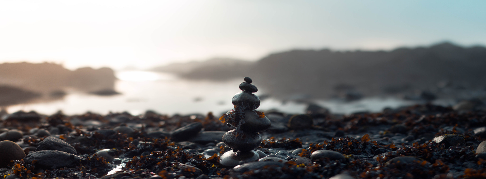 Sigma 50mm F1.4 EX DG HSM sample photo. We lost the sea photography
