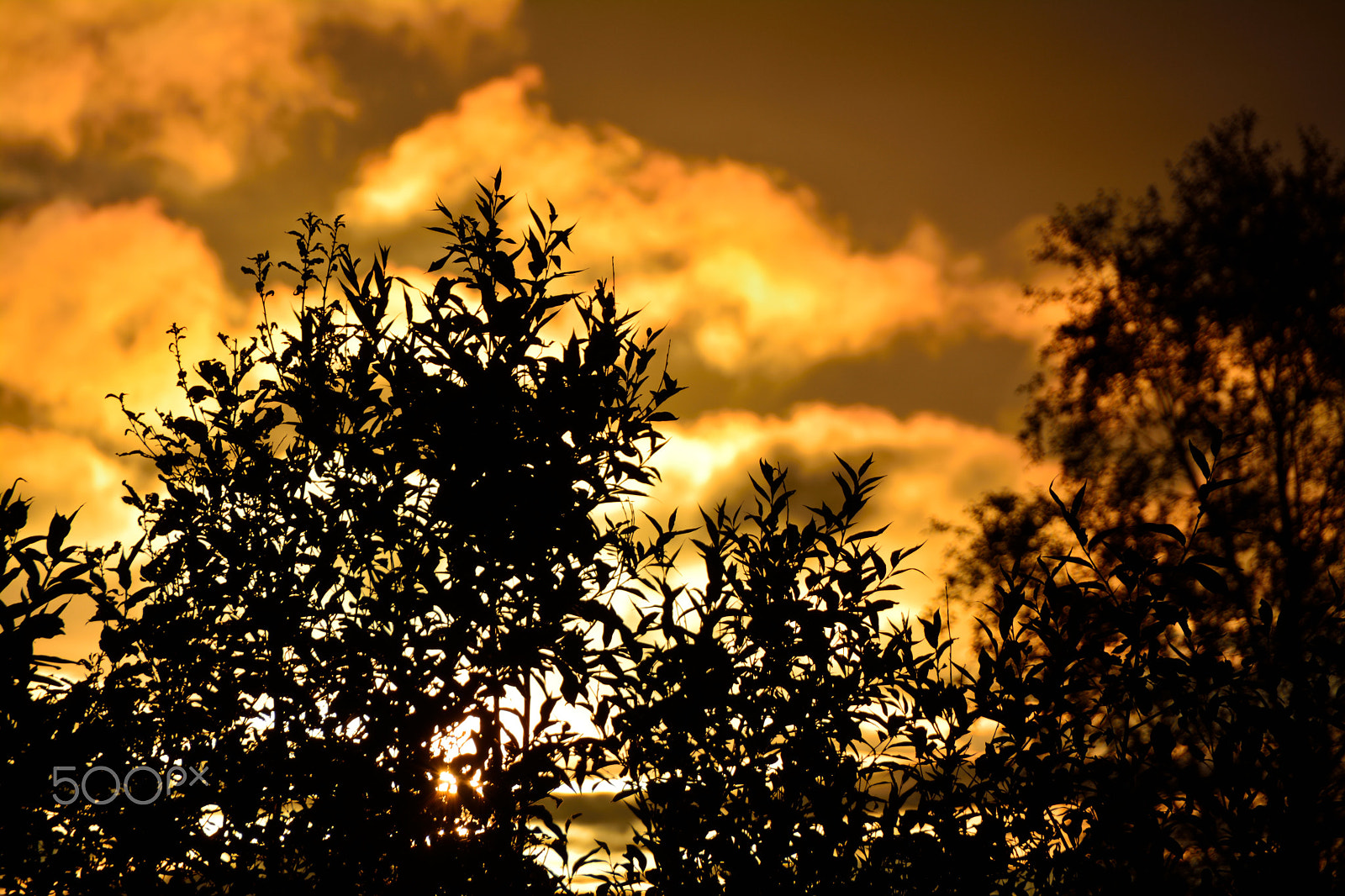 Sigma 18-200mm F3.5-6.3 II DC OS HSM sample photo. Beautiful midnight sun photography