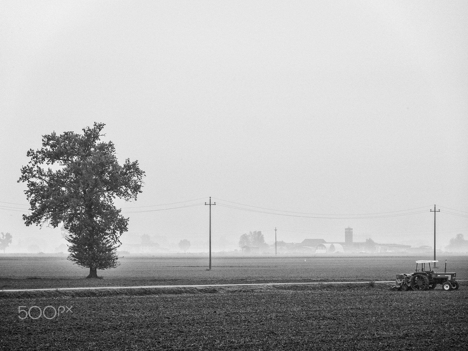 OLYMPUS M.14-150mm F4.0-5.6 II sample photo. Life in the field photography