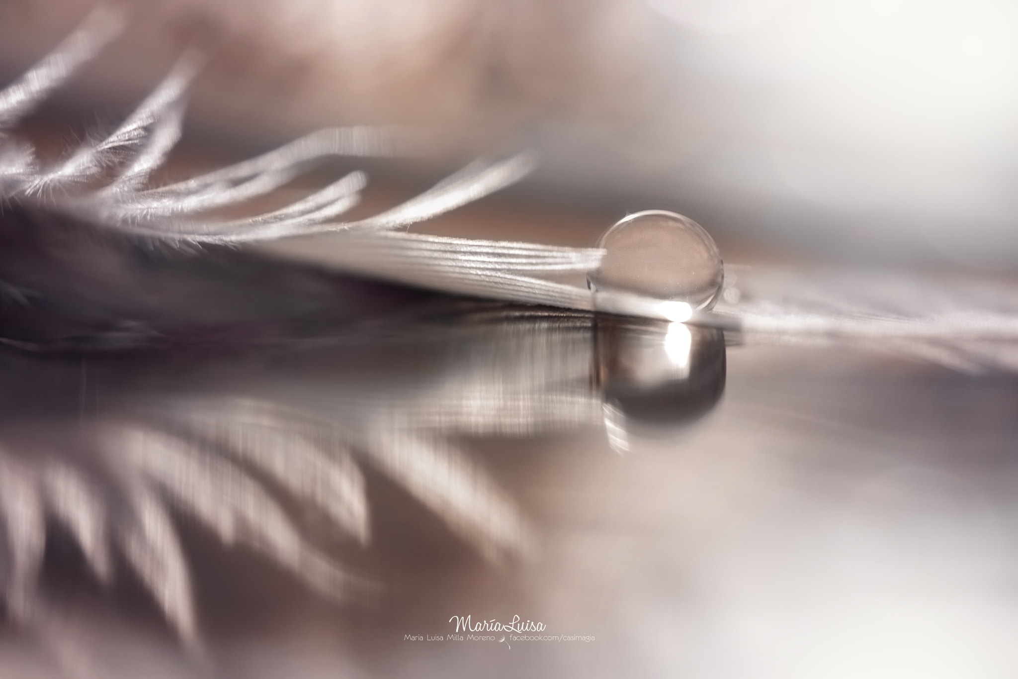 Canon EF 100mm F2.8 Macro USM sample photo. Reflections photography