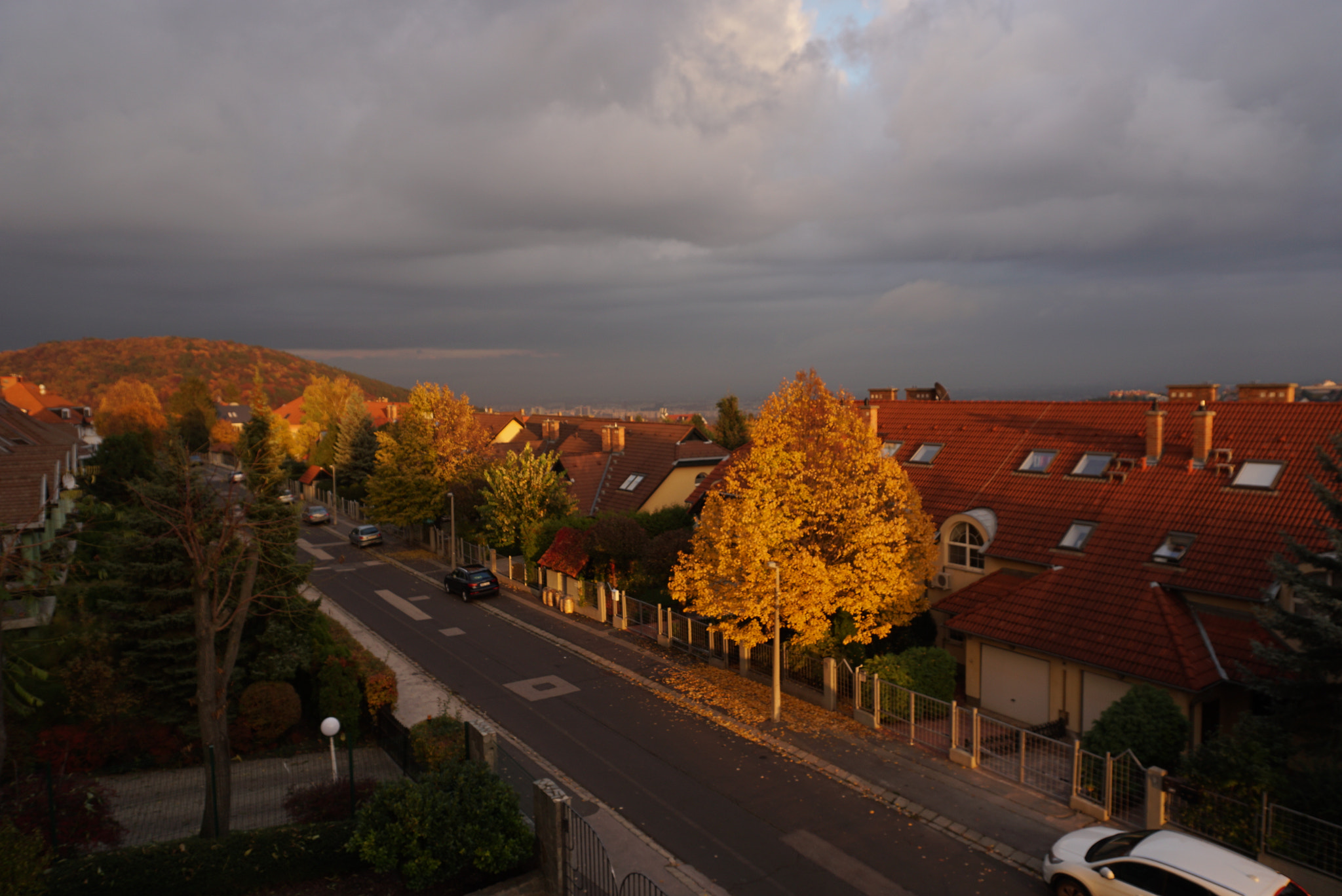 Sony a6300 + Sony E 18-50mm F4-5.6 sample photo. Colours of autumn photography