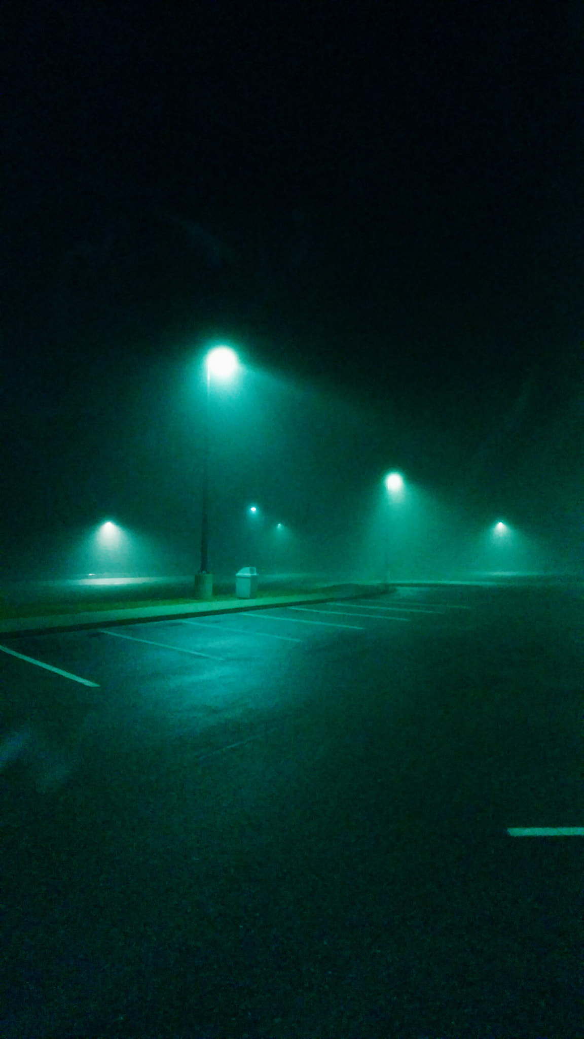 Motorola Moto X Pure Edition sample photo