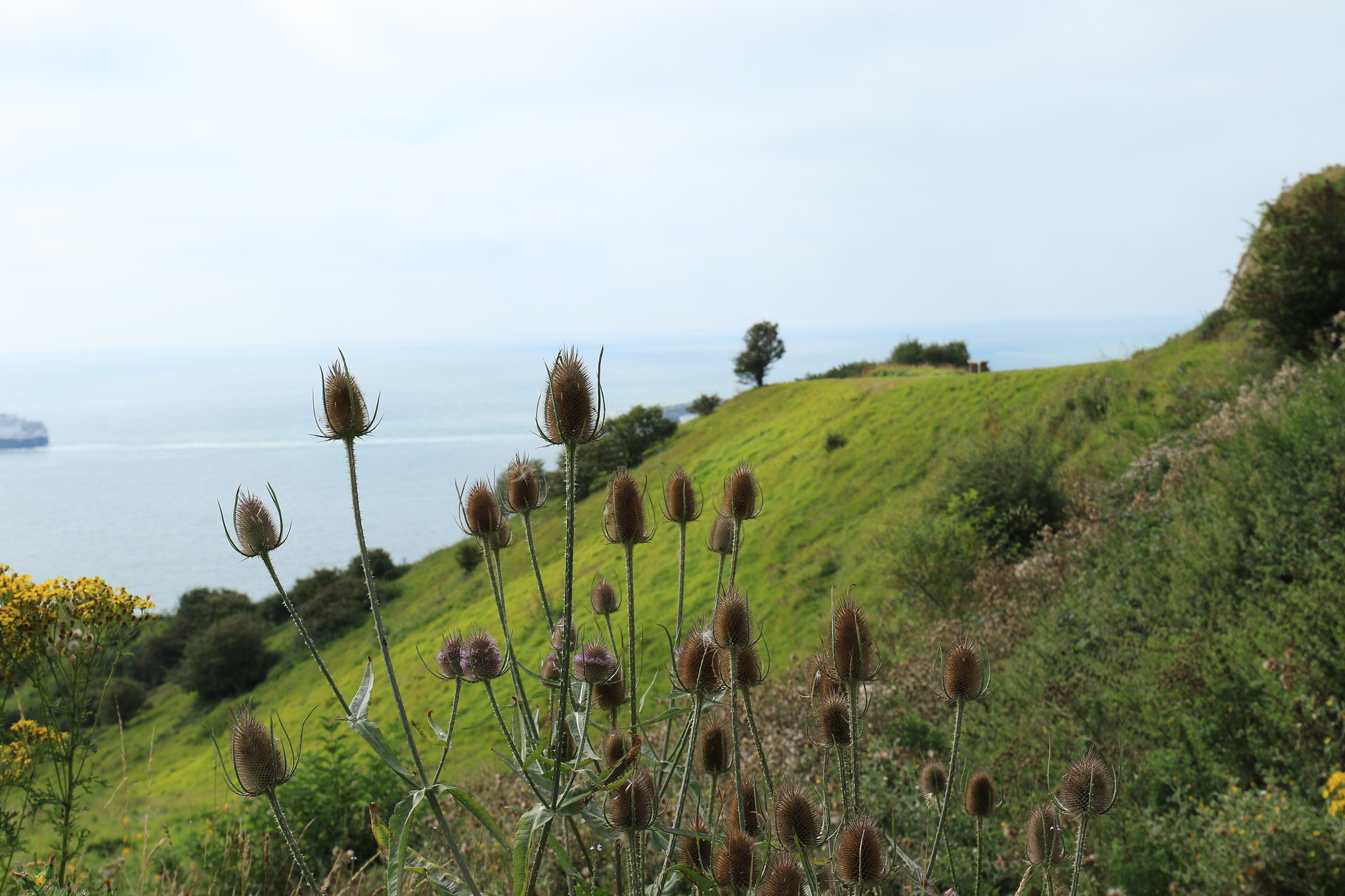 Canon EF 16-35mm F4L IS USM sample photo. Dover uk photography