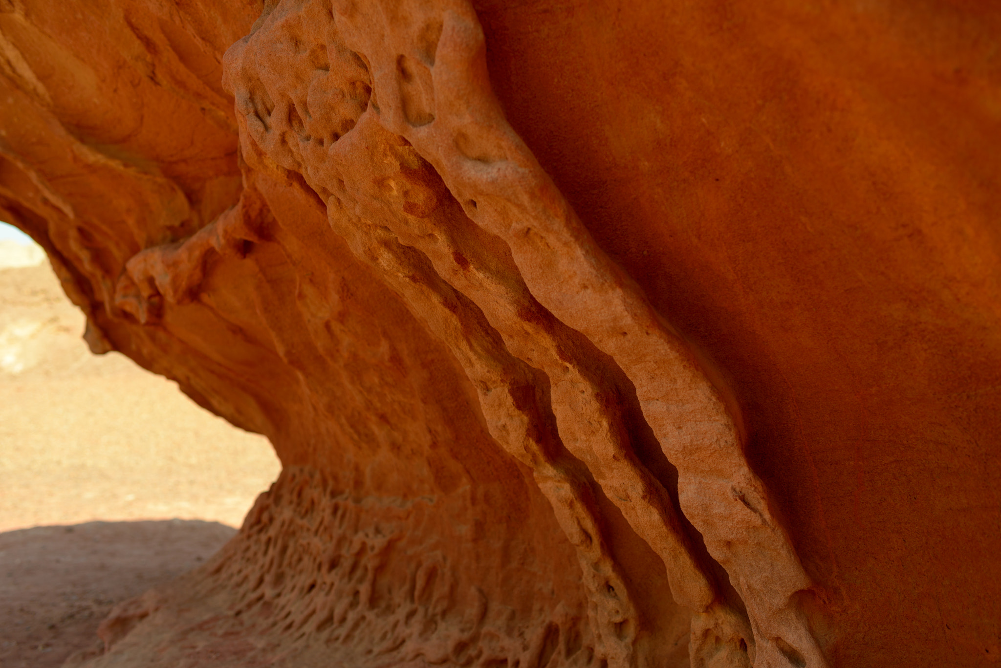 Nikon D800E + Zeiss Milvus 35mm f/2 sample photo. The artery of earth photography